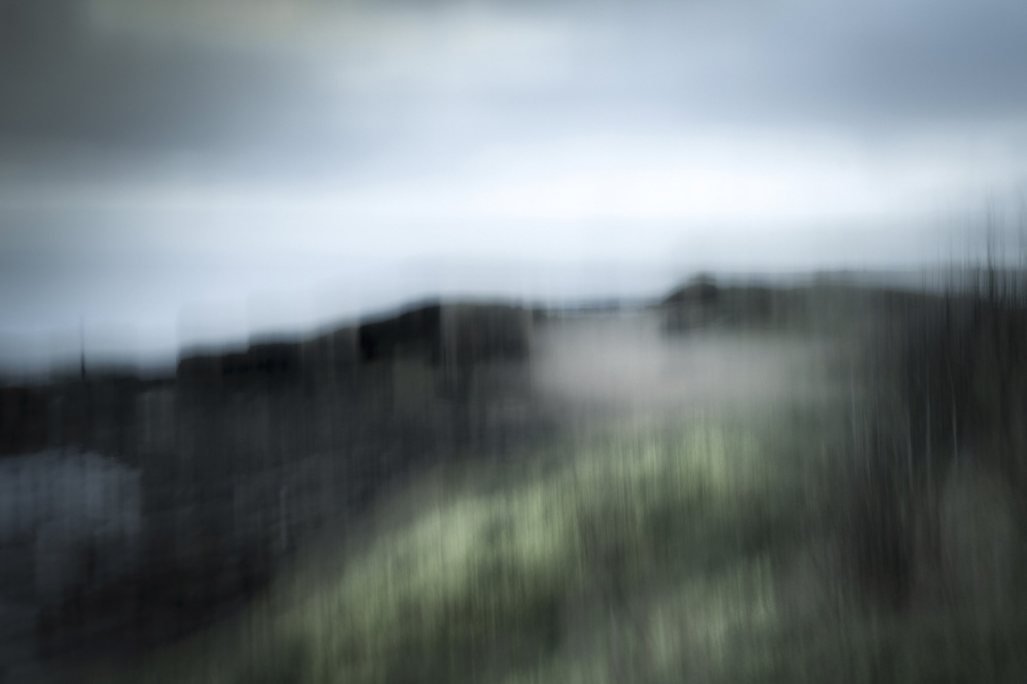 subjective-view-seagrass patchy seagrass in shades of sage and jade, against a low grey sky in Northumbria