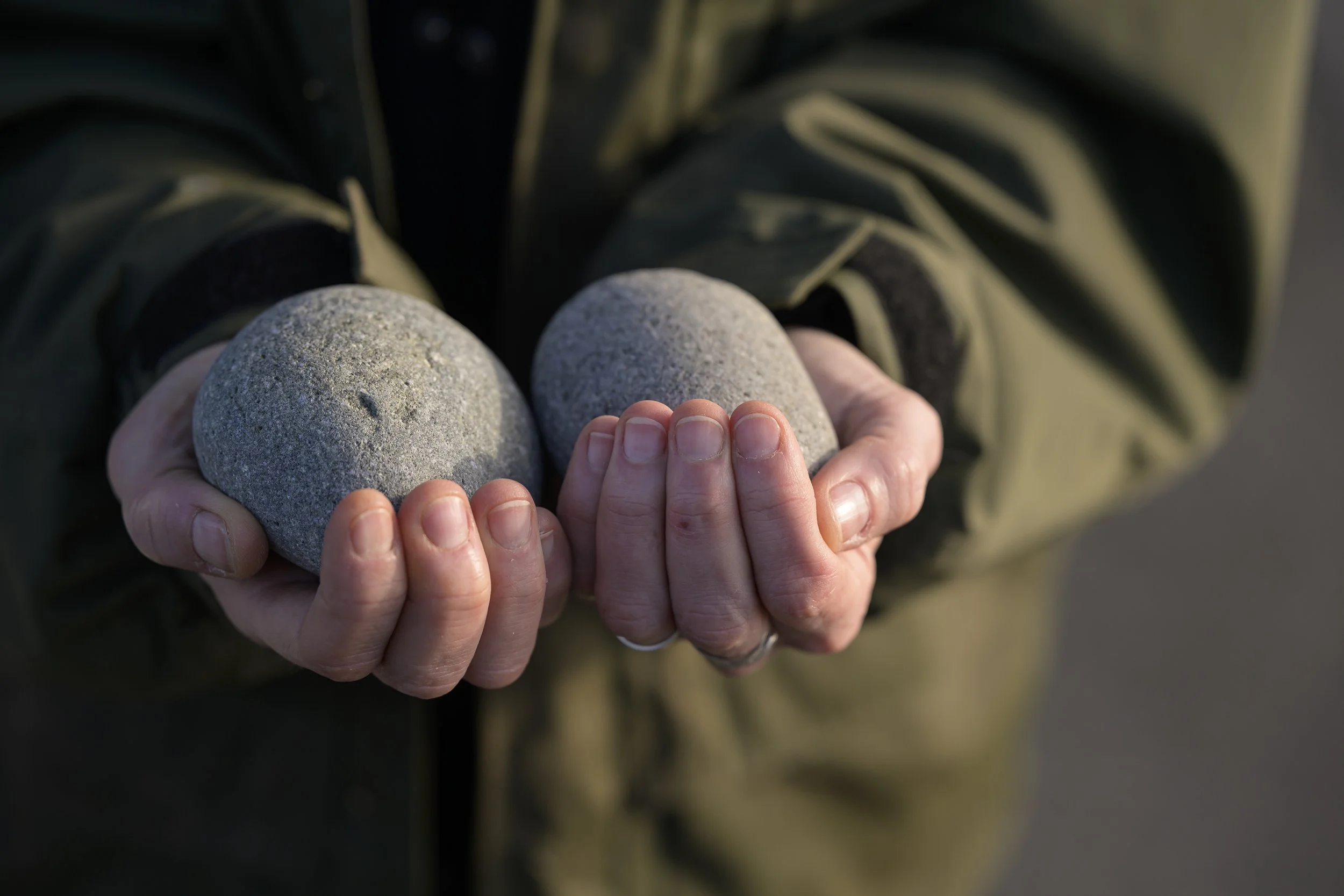 Dividing Lines two hands demonstrating equivalence in nature