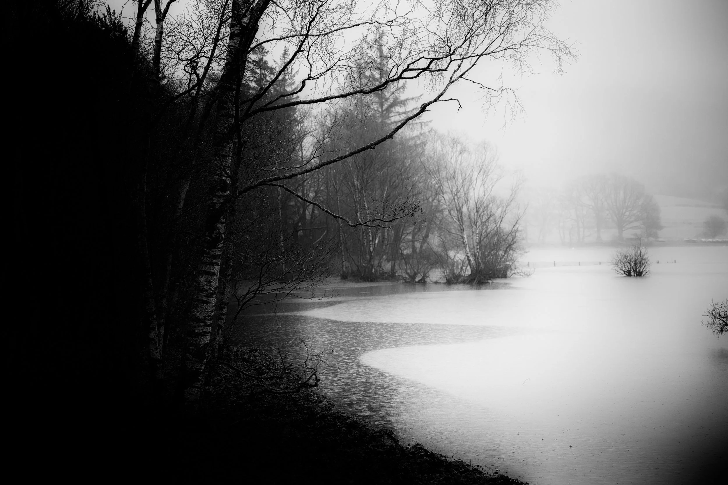 A black and white photograph of a lake with trees on the shoreline. The scene is misty, with bare trees and overcast sky, creating a moody, tranquil atmosphere.