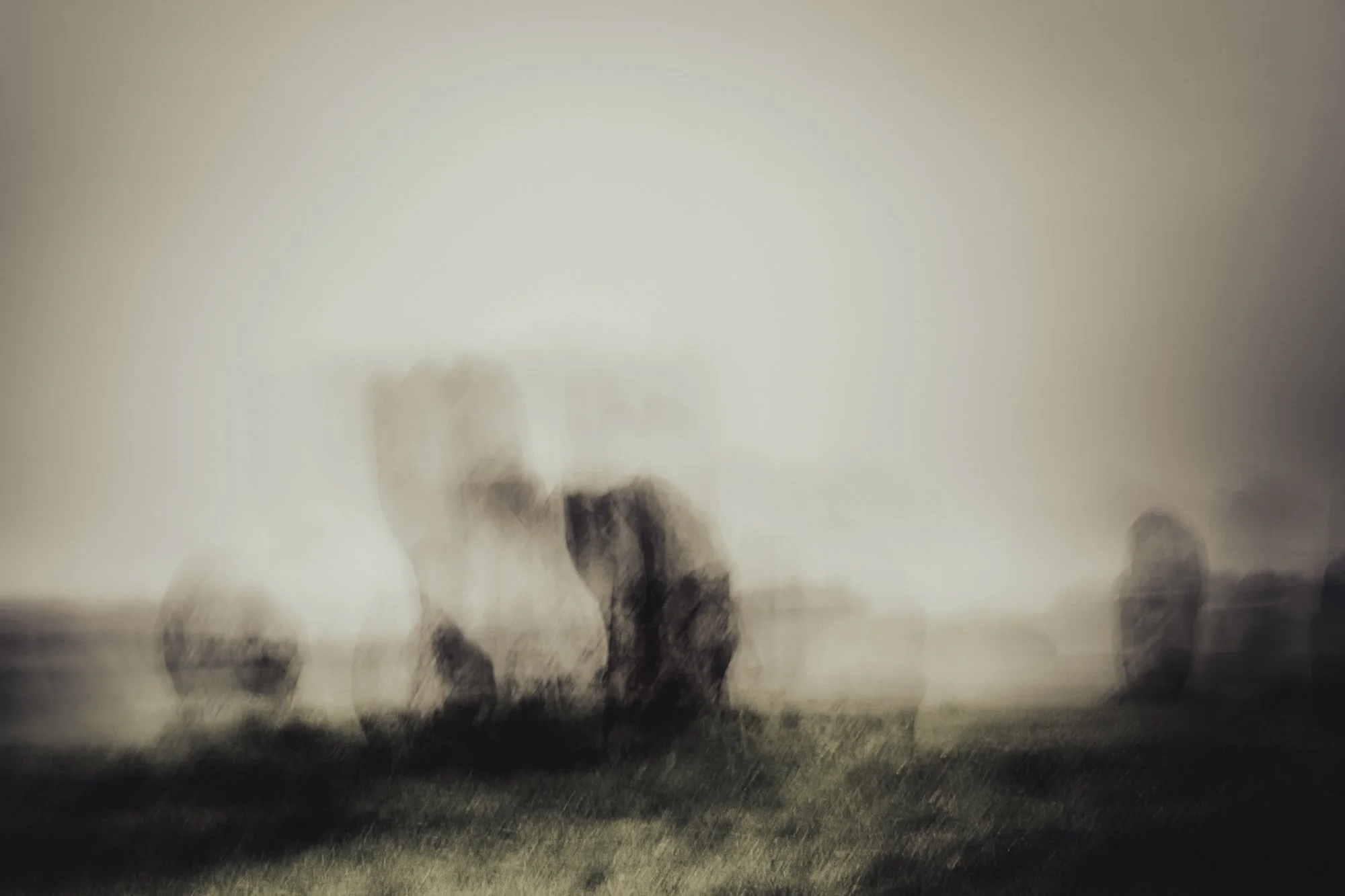 subjective-view-standing-stones standing stones of Duddo Northumbria, standing firm against the mist and rain