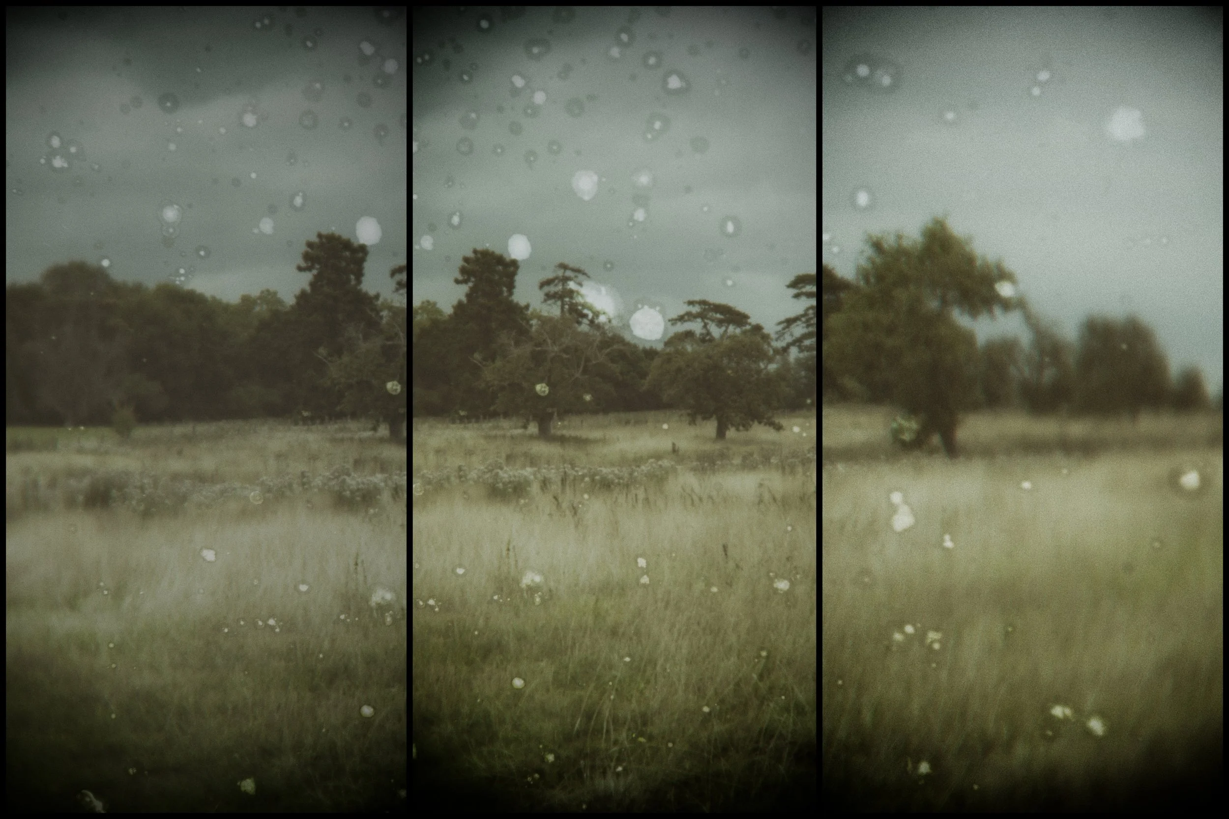 Field of View - summer fields of Kent on a cloudy summer day, a warm moist wind flattening the blond grasses with distant dark trees and a dark distressed sky