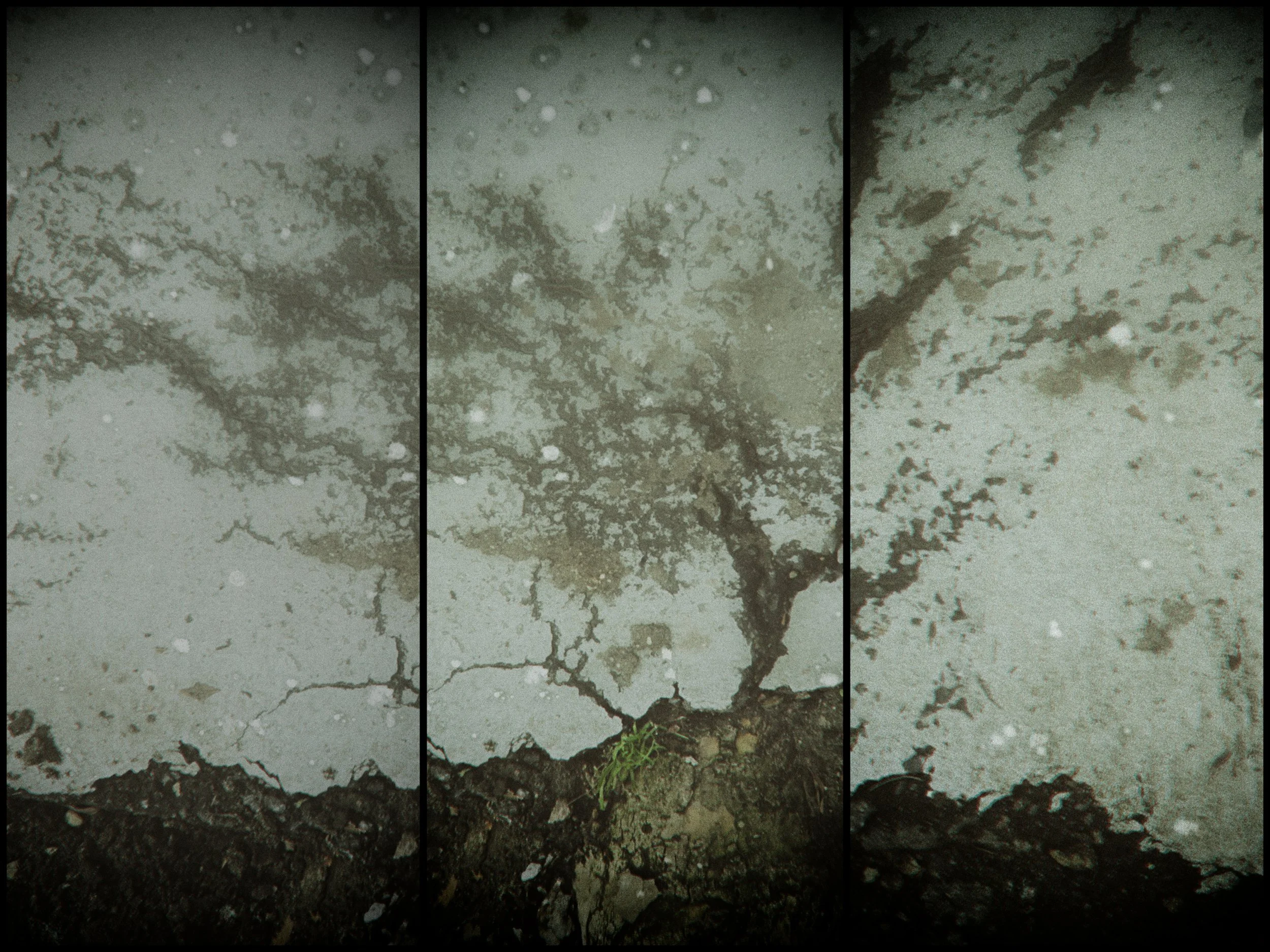 Tree by Three or not a triptych of panels from a whole image of a blasted tree perched in a small rough mound. Or is it, it could maybe have been adapted from a damaged paving stone?