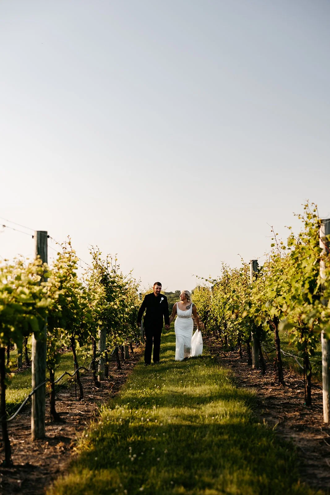 A newlywed couple walking hand in hand through a vineyard during sunset, with green grapevines on either side and a clear sky above.