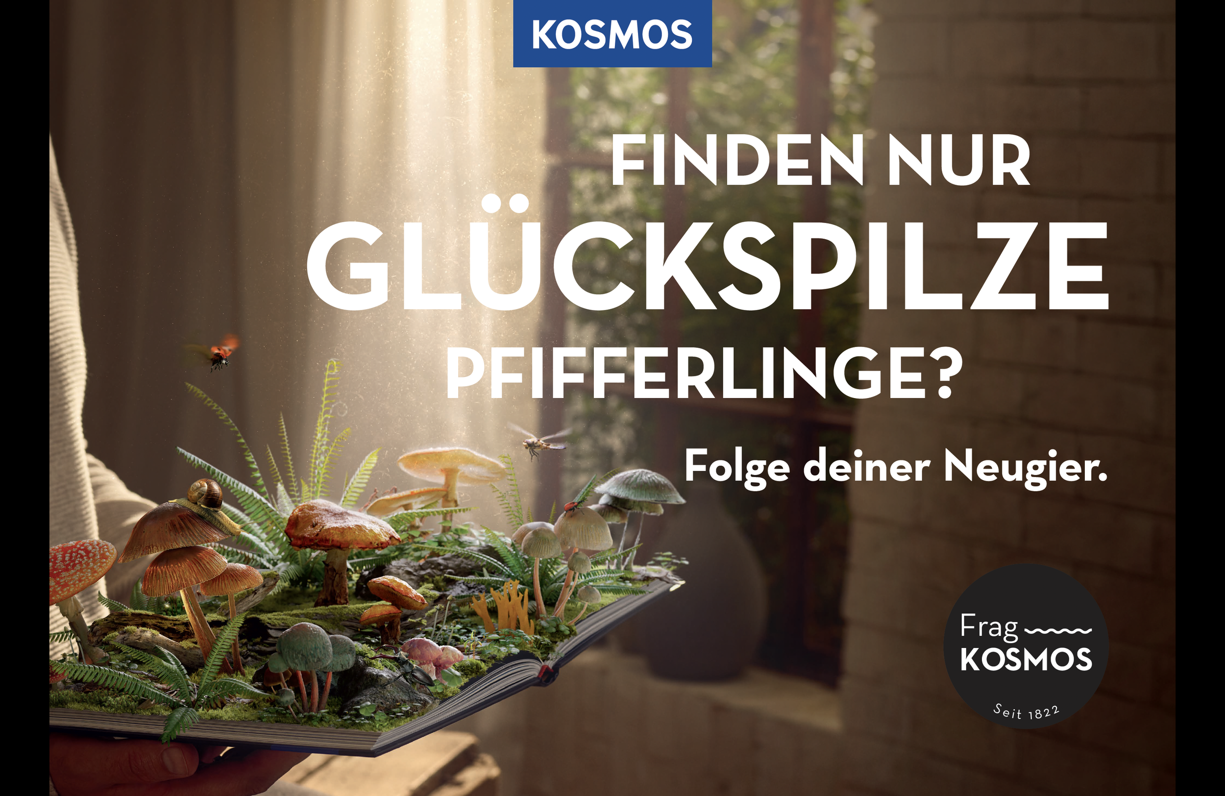 Ein aufgeschlagenes Buch mit Pilzen, Moos und kleinen Tieren, das scheinbar in einem Raum mit Sonnenlicht an einem Fenster gehalten wird, Werbung für eine Quizfrage über Glückspilze bei Kosmos.