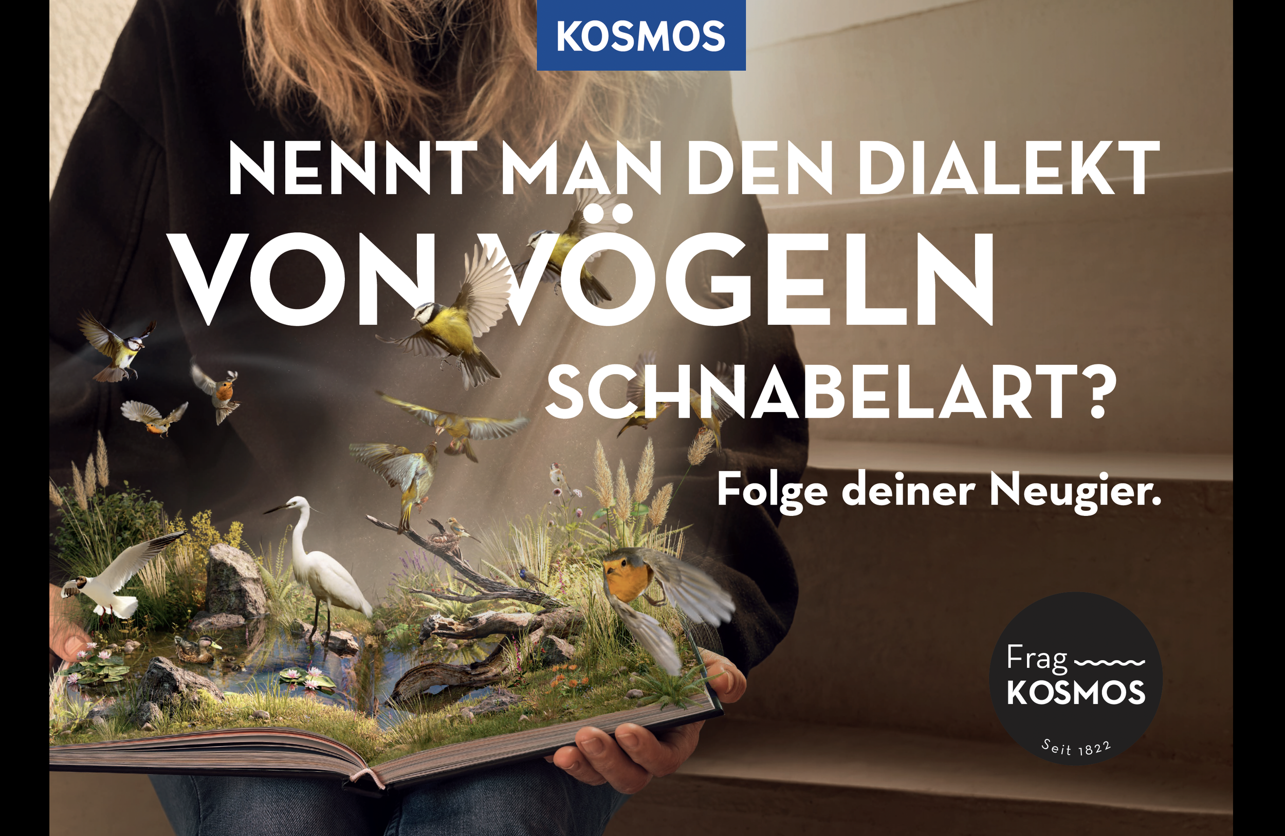 Ein Mensch hält ein aufgeschlagenes Buch mit einer 3D-Darstellung von Vögeln und Natur, umgeben von Text in Deutsch, der über das Vogel sprechen.