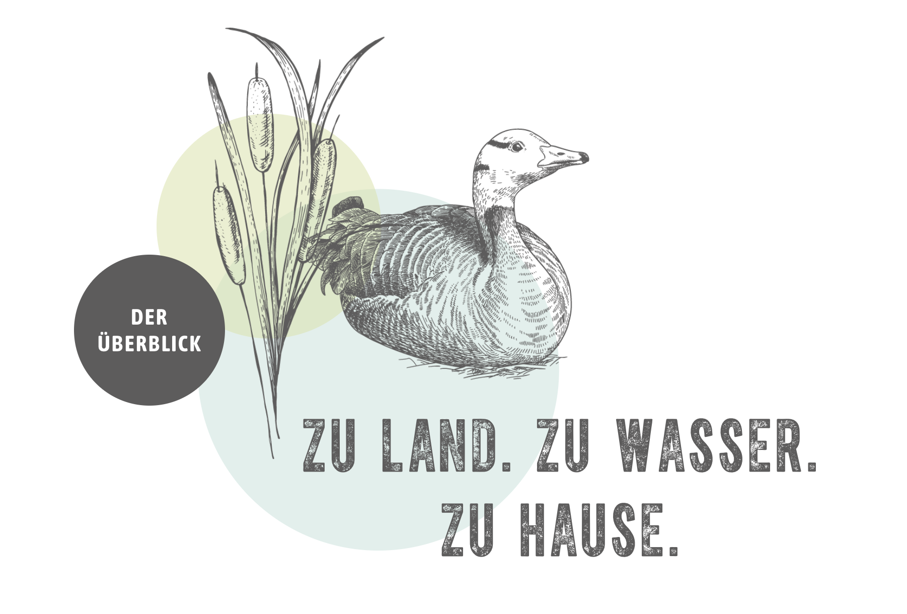 Illustration eines Entenpaares neben Schilfgras mit Wasser und Land im Hintergrund, begleitet von deutschen Texten.