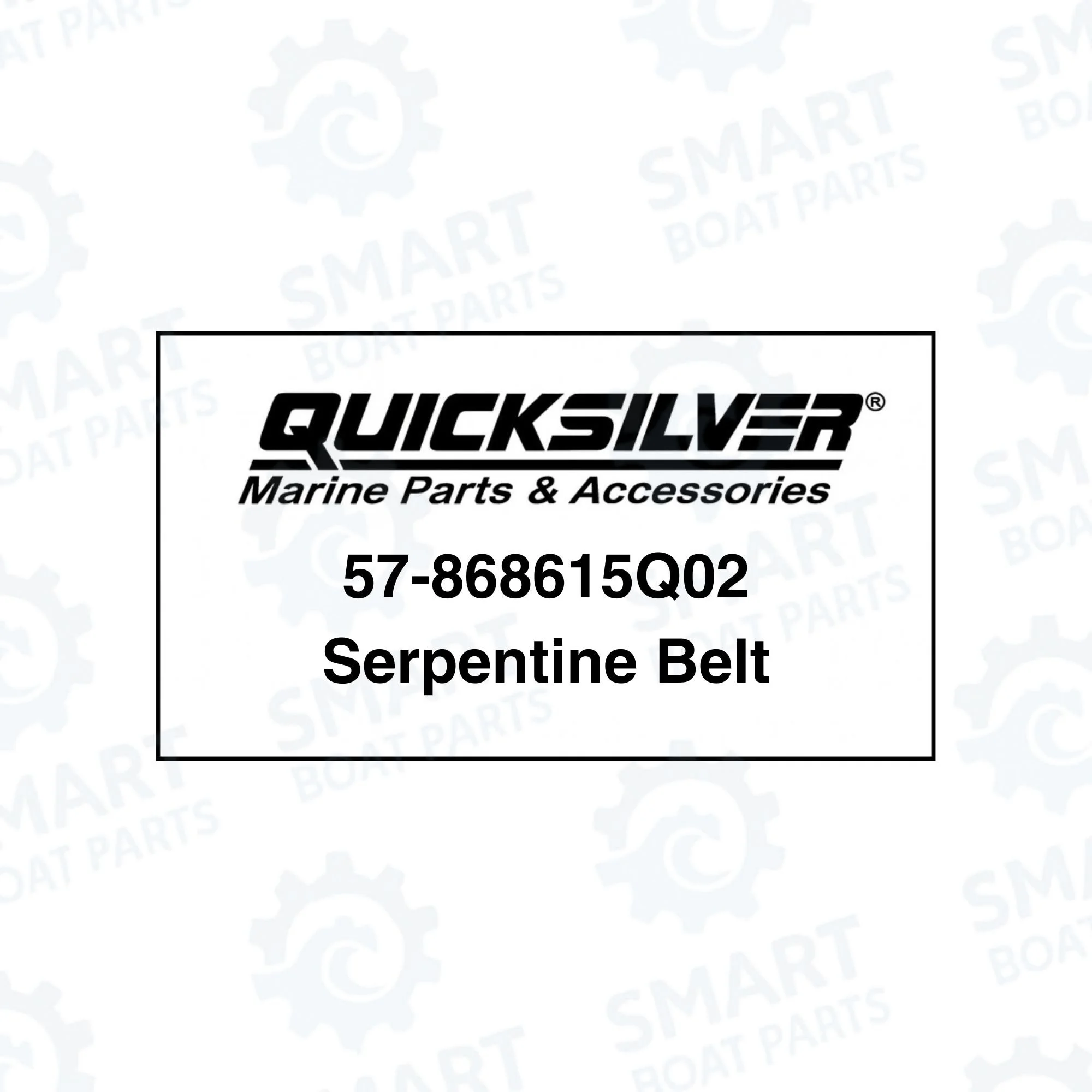 57-865615Q02 Serpentine Belt (3).jpg