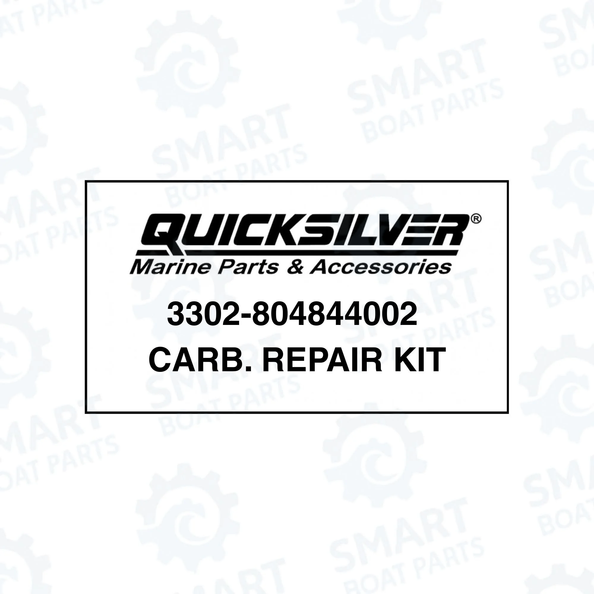 3302-804844002 Carb Kit (2).jpg