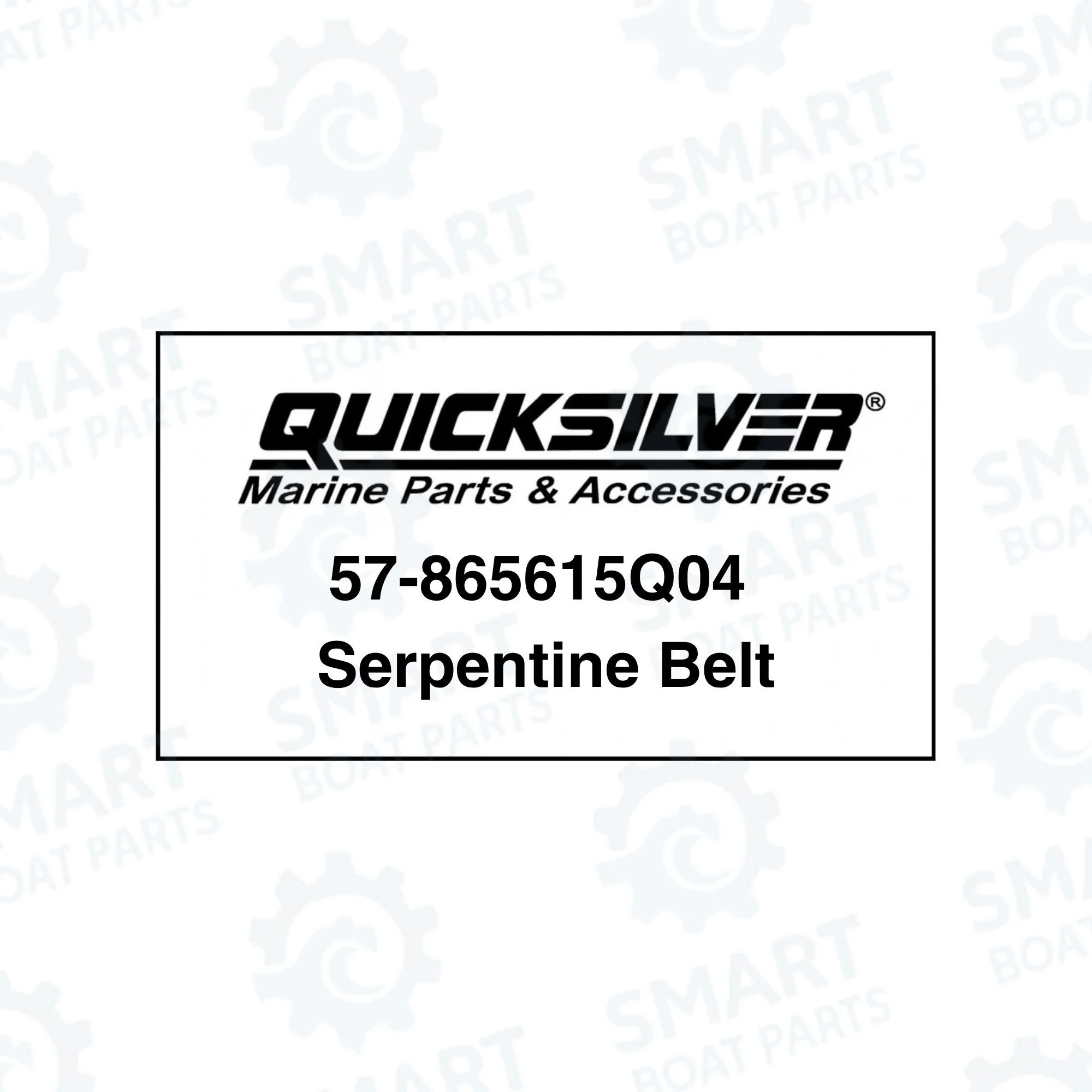 57-865615Q04 Serpentine Belt (3).jpg