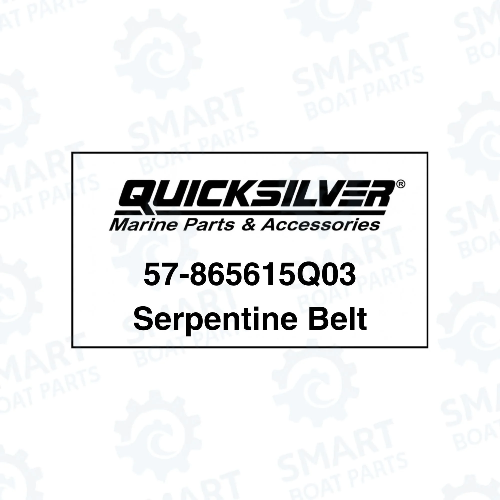 57-865615Q03 Serpentine Belt (3).jpg