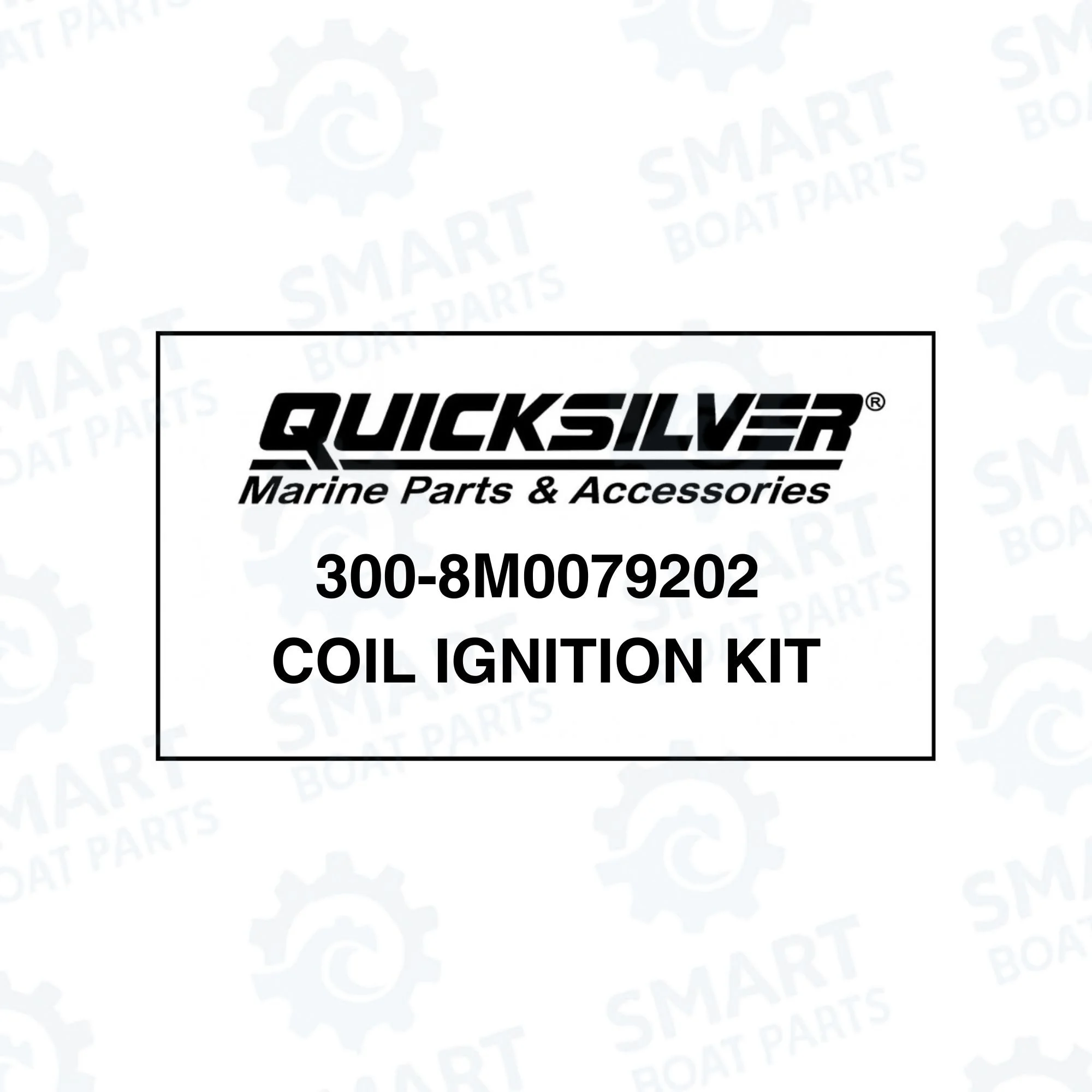 300-8M0079202 Coil (3).jpg