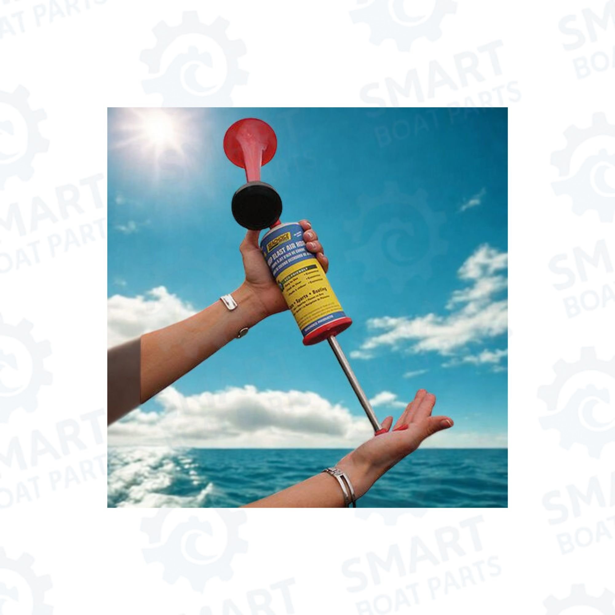 46311 Seachoice Pump Air Horn Action (1).jpg