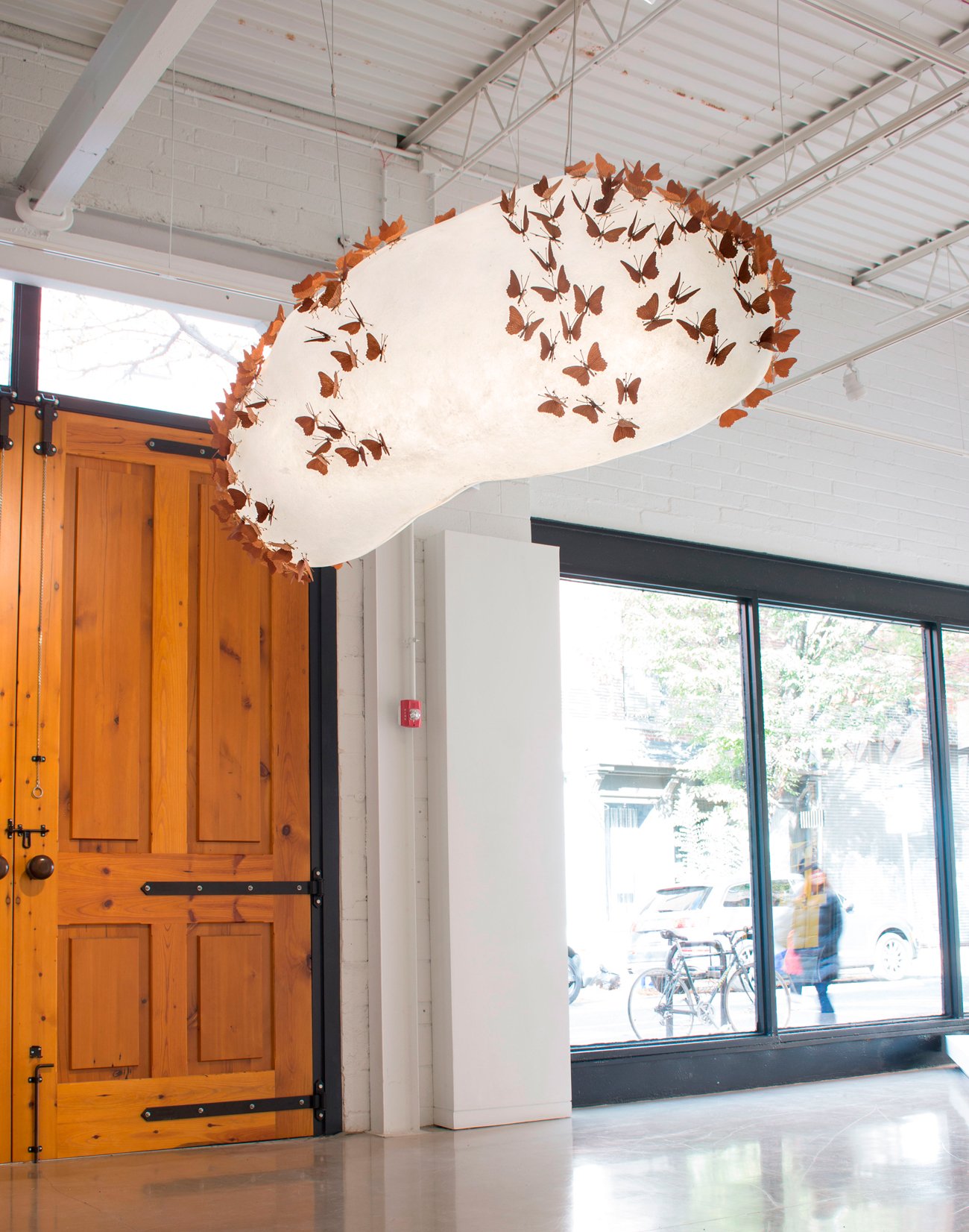 Butterfly Asteroid.jpg