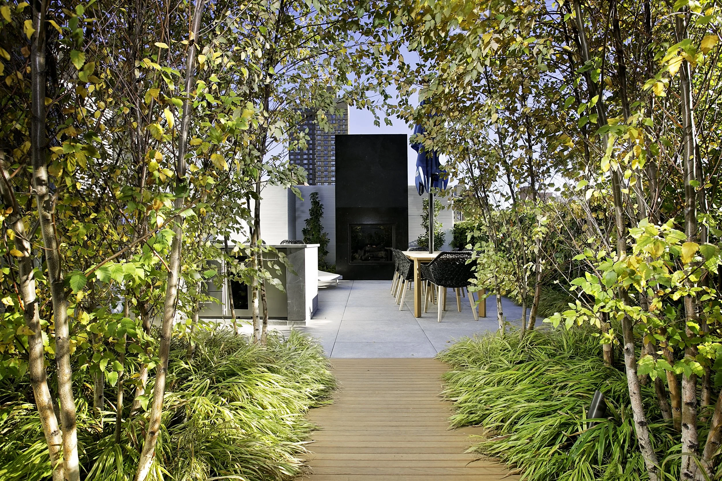 Planted pathway.jpeg