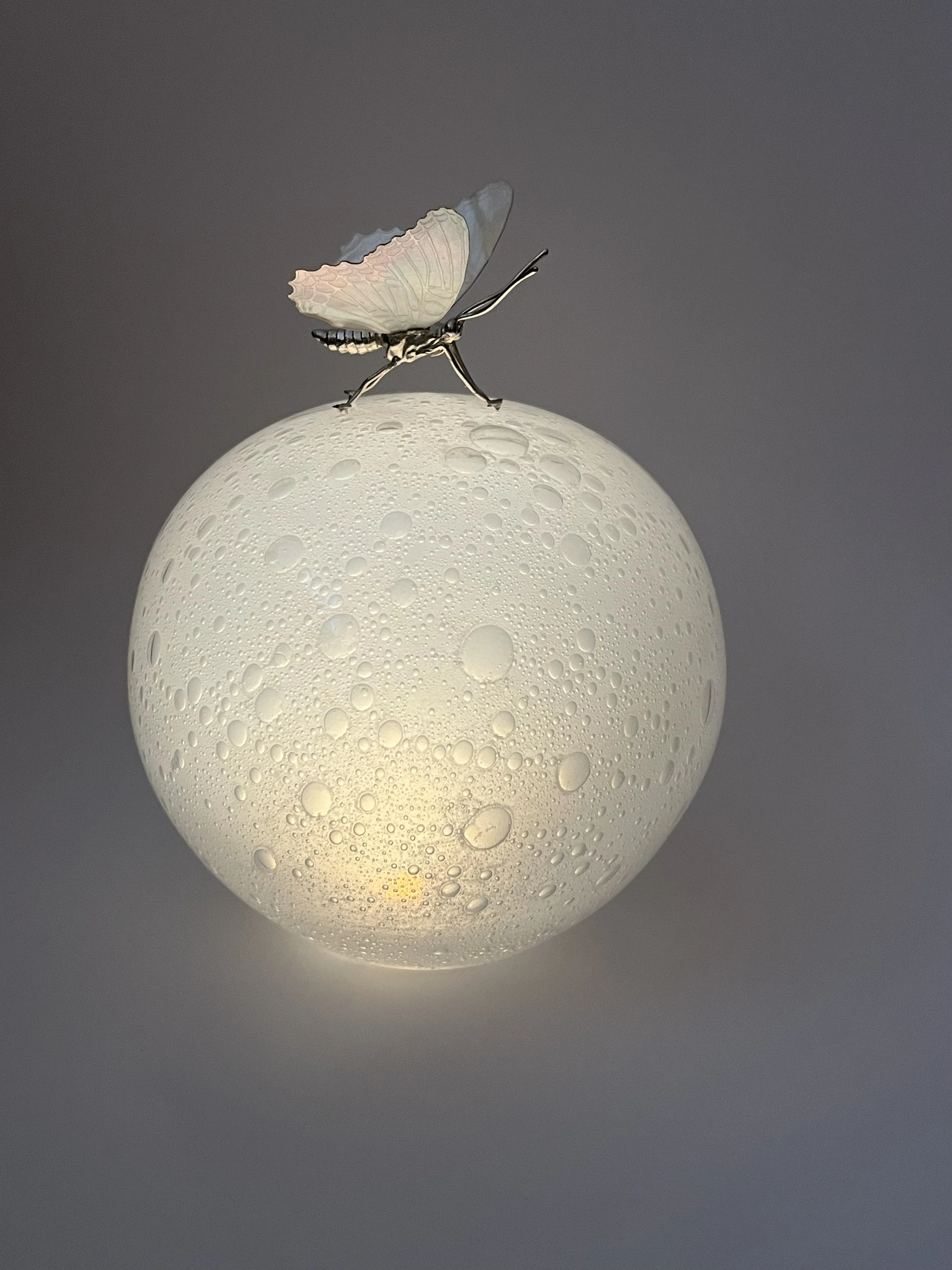 Butterfly Asteroid
Bennu