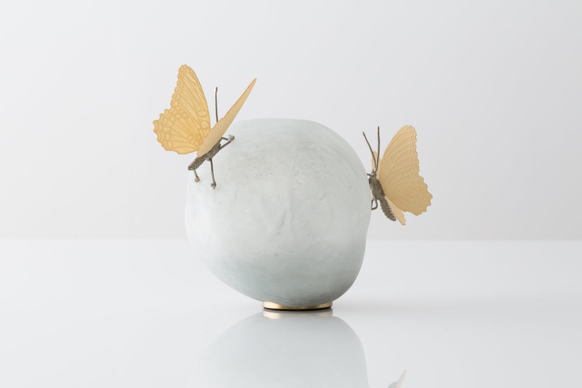 Butterfly Asteroid
Bennu