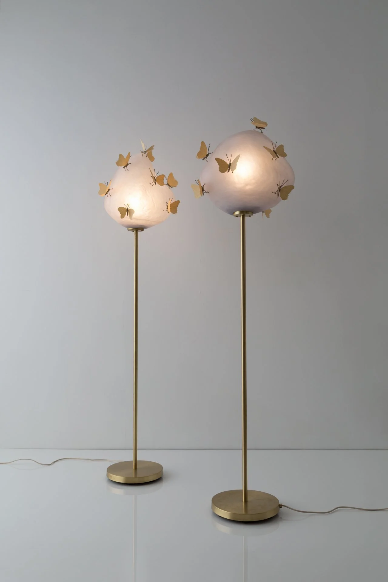 Butterfly Asteroid
1998 WT