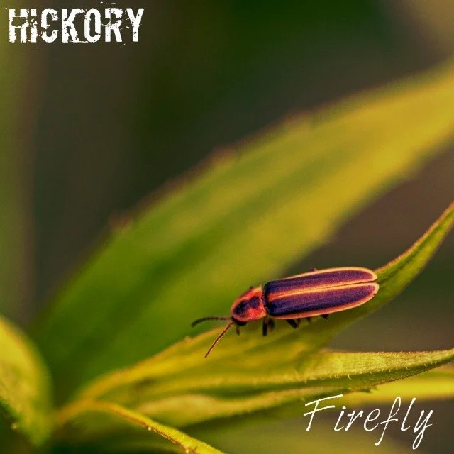 Firefly Album Release