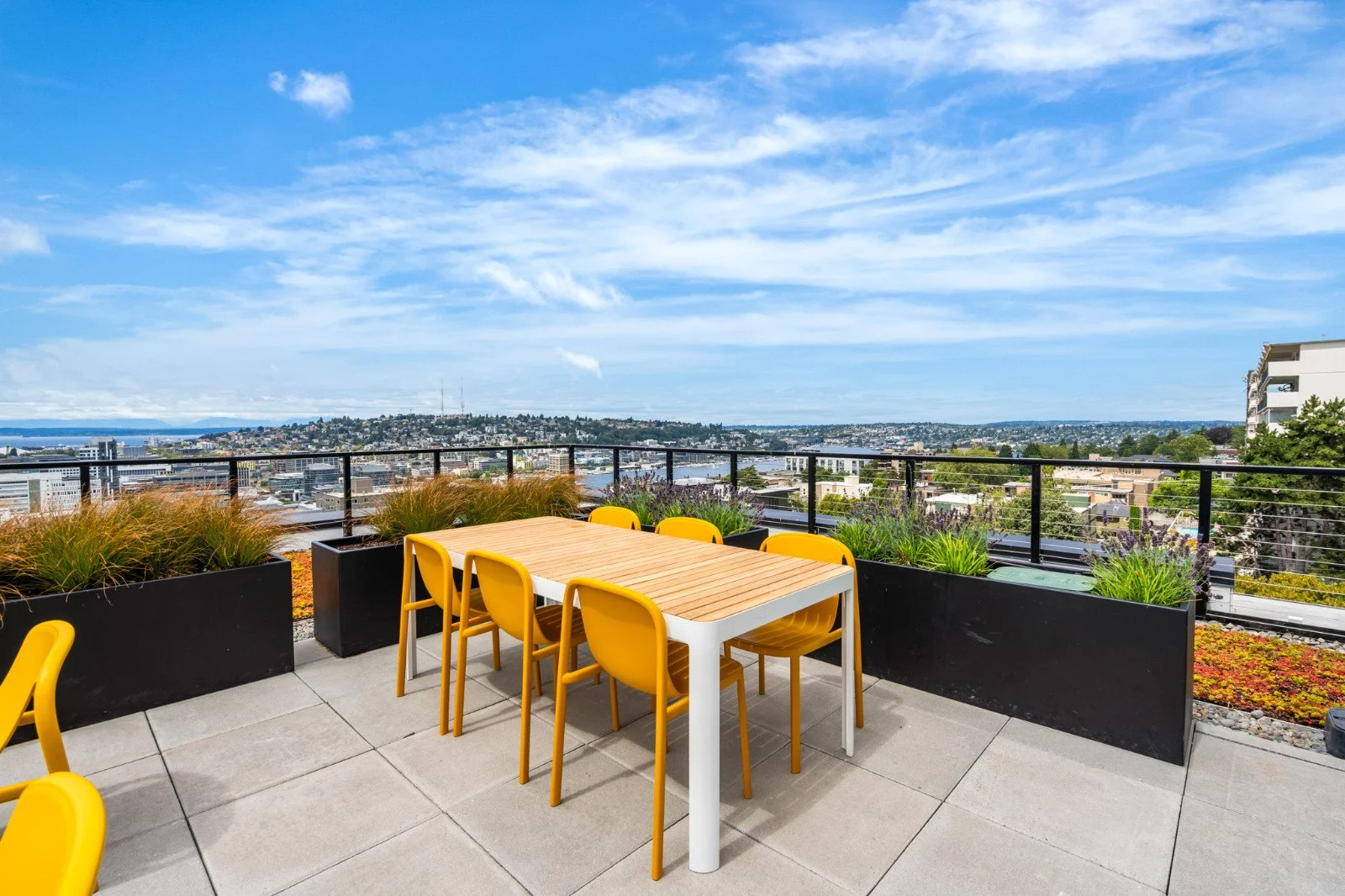 Belmont Completion Web-50.jpg