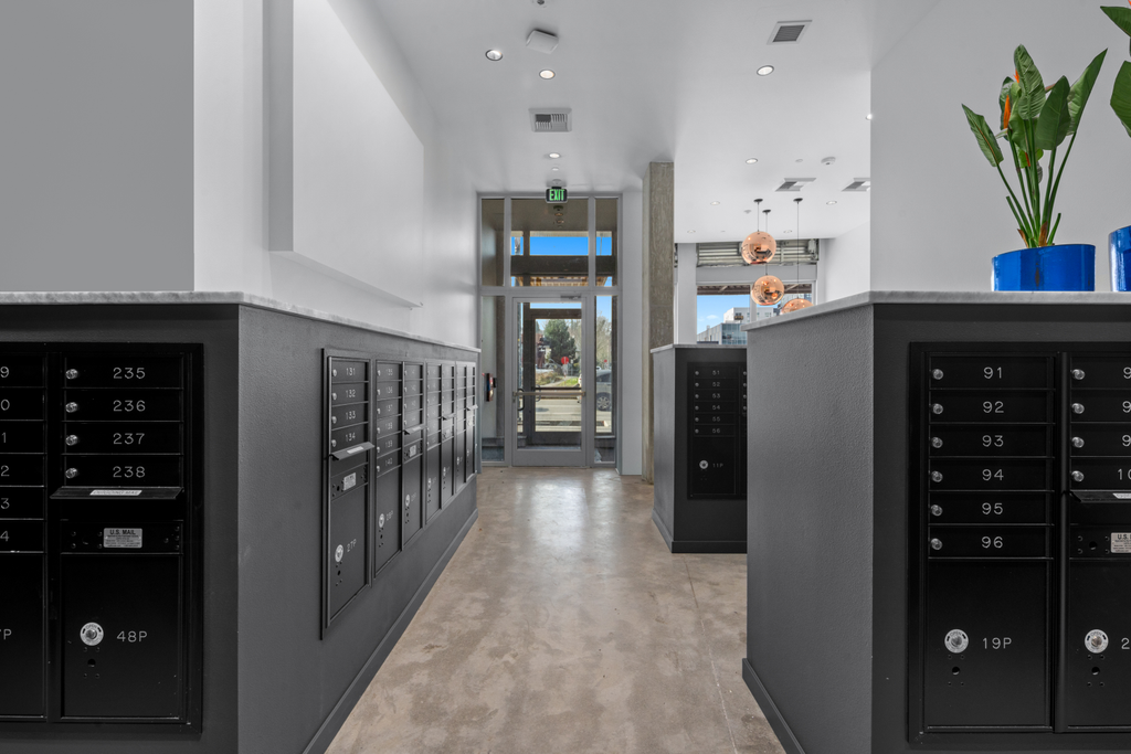 MLK Completion-01.jpg