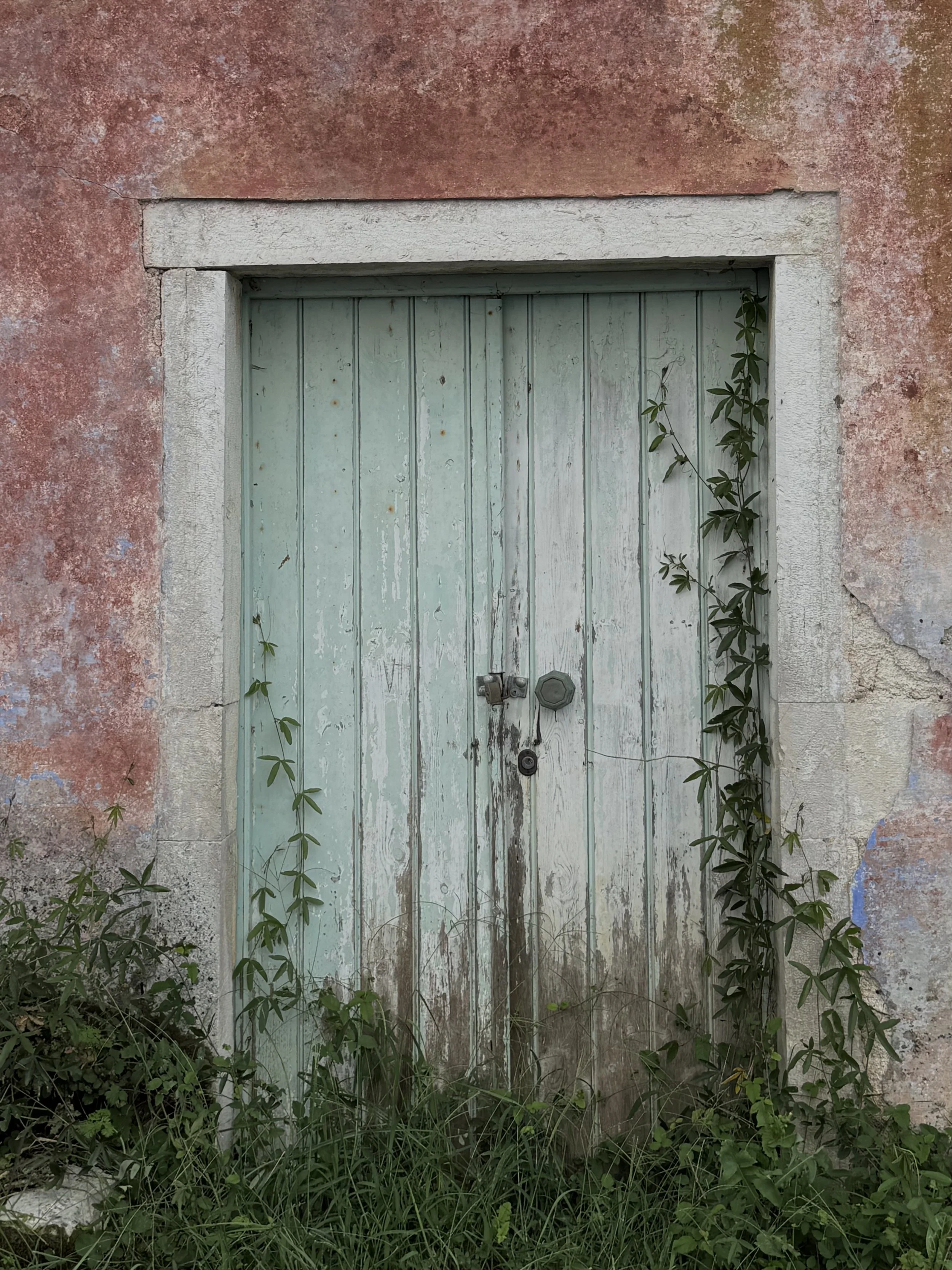 IMG_7499.jpeg