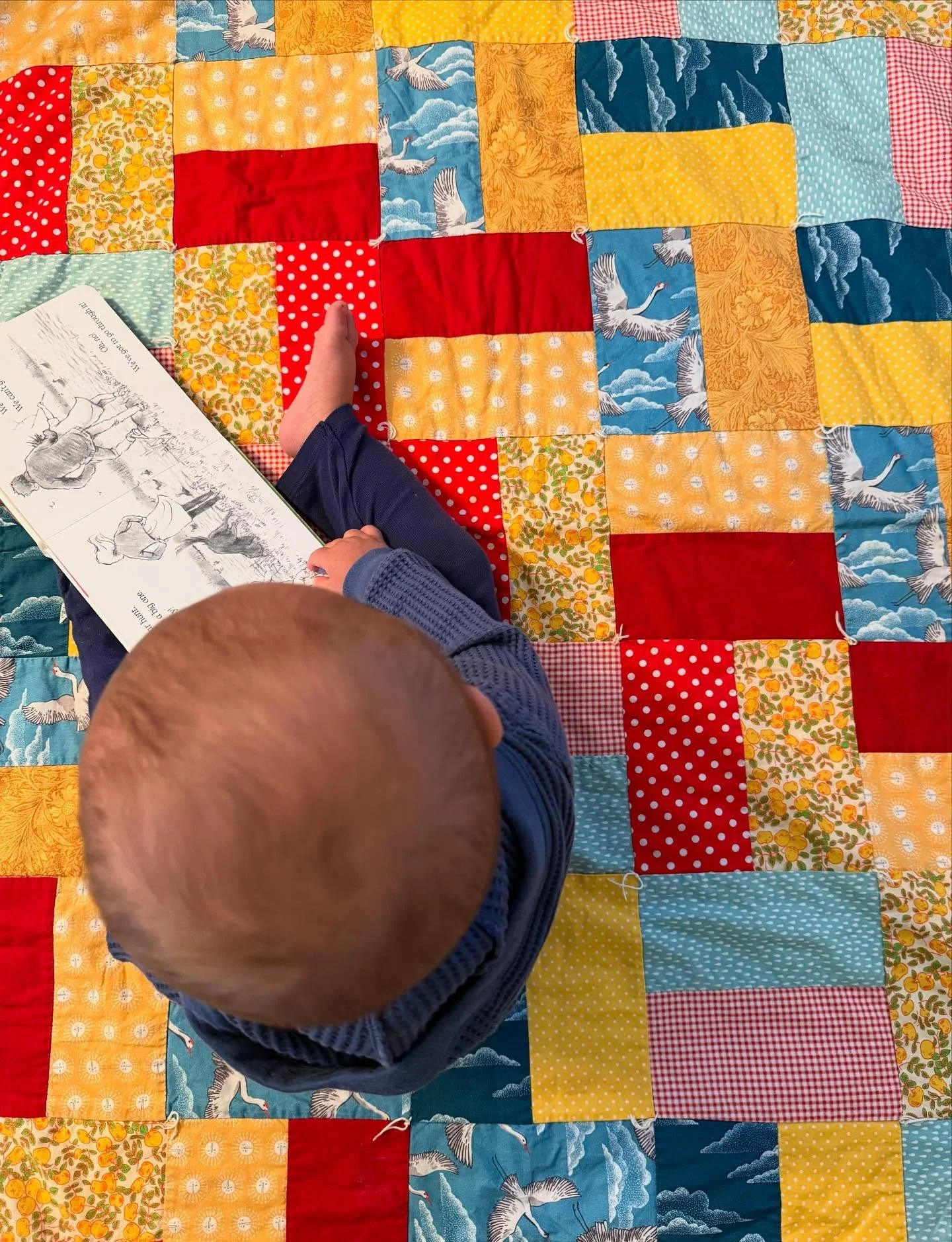 🌞👋🏼📕 Good morning from the ROMAN quilt! 

Rome and I enjoying some of his favorite books in the beautiful morning light. 

#QuiltLove #ModernQuilting #QuiltersOfInstagram #FabricAddict #SewMuchFun #QuiltyLove #HappyStitching #FabricStack #Sewcial