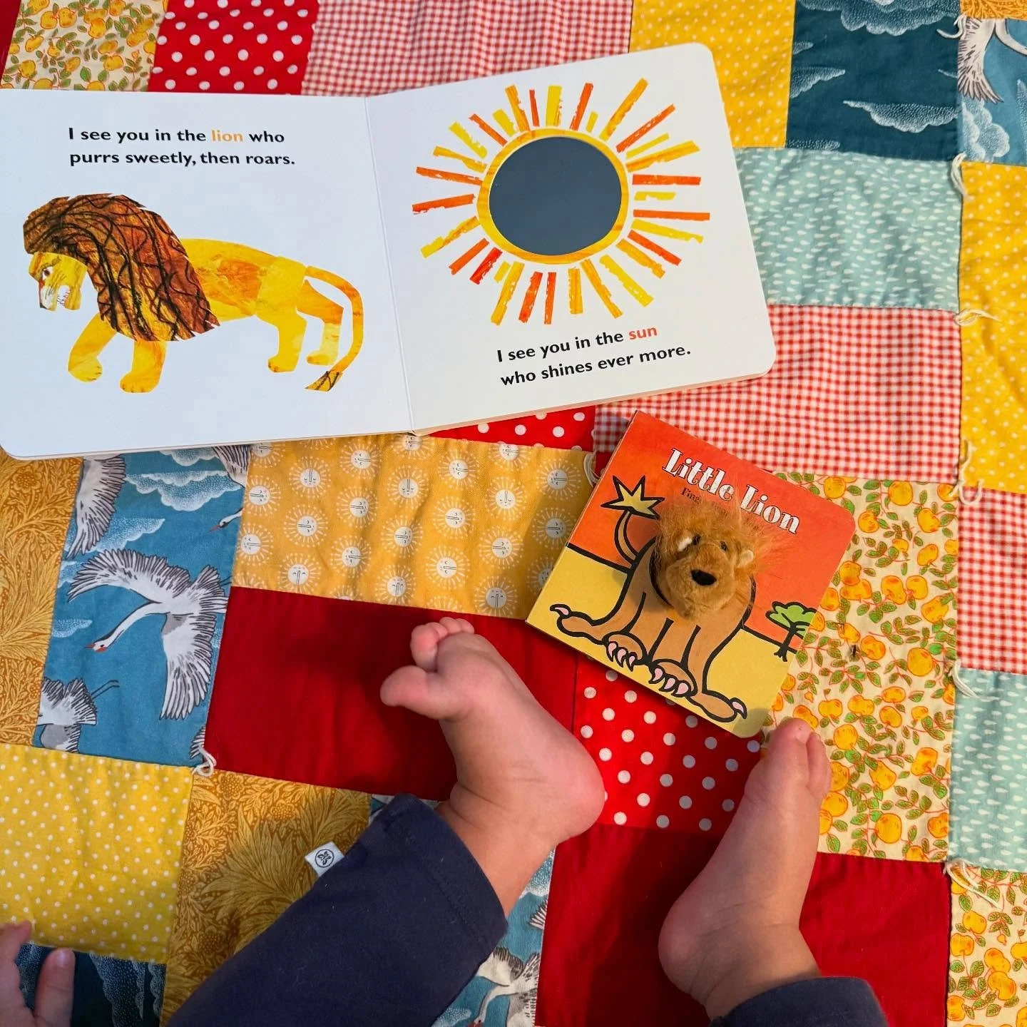 🦁 Lions looking good on the ROMAN quilt!

#QuiltLove #ModernQuilting #QuiltersOfInstagram #FabricAddict #SewMuchFun #QuiltyLove #HappyStitching #FabricStack #Sewcialists #CraftyLife #BabyQuilt #CribQuilt #SmallQuilt #baby #babyboy #oneyearold #sun #