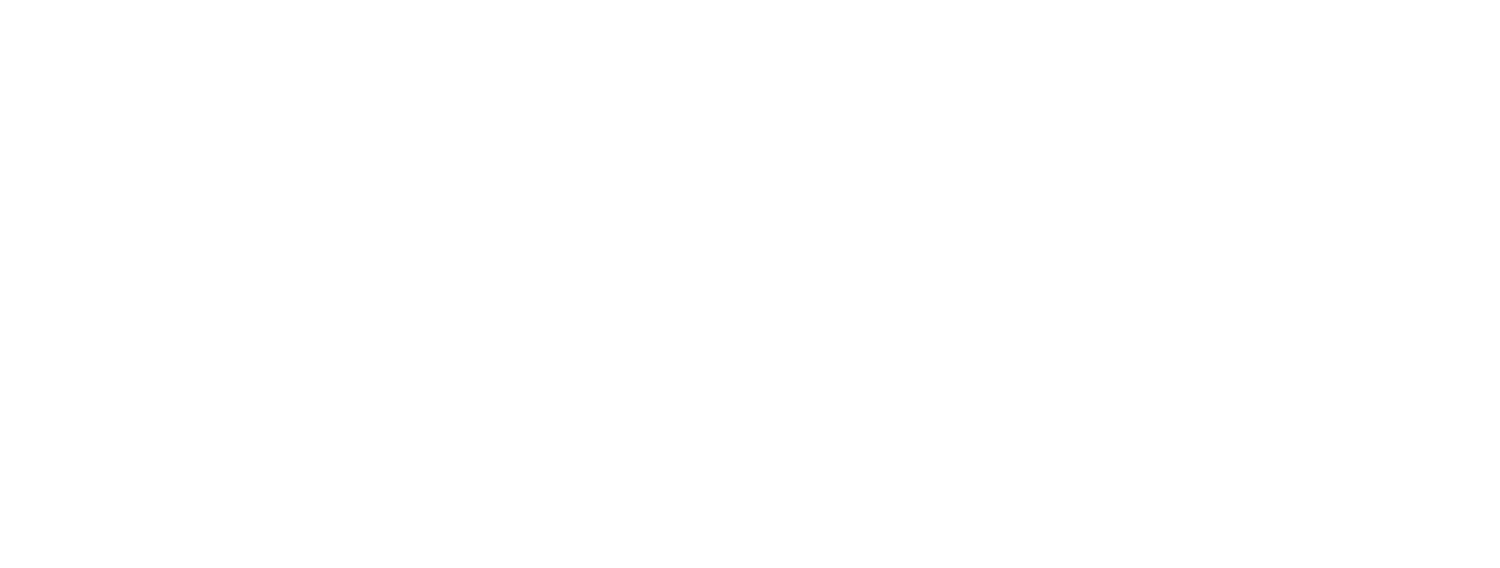 evelyn creative studio