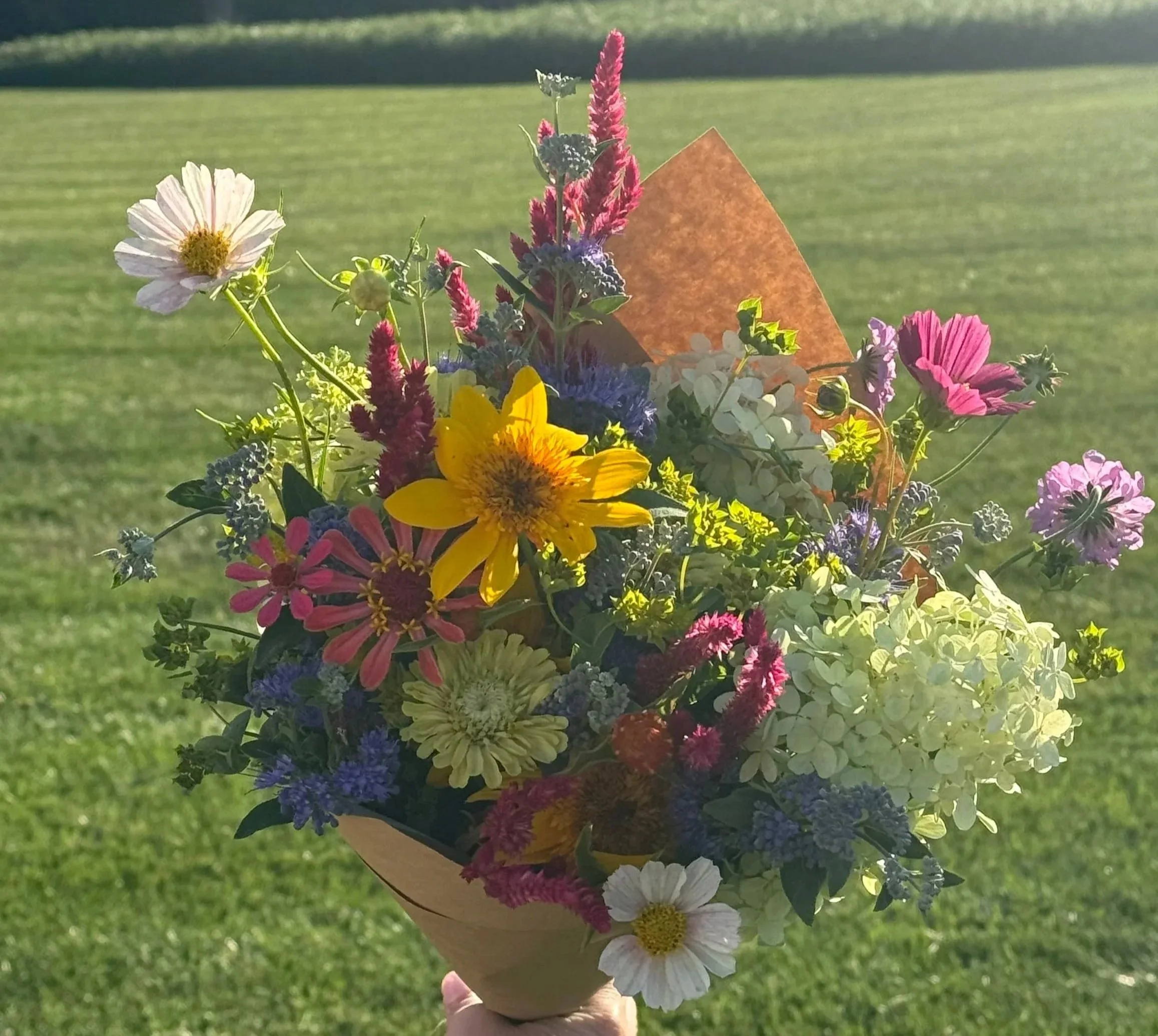 Colorful bouquet of mixed flowers including daisies, hydrangeas, and other blooms held outdoors with a grassy background.