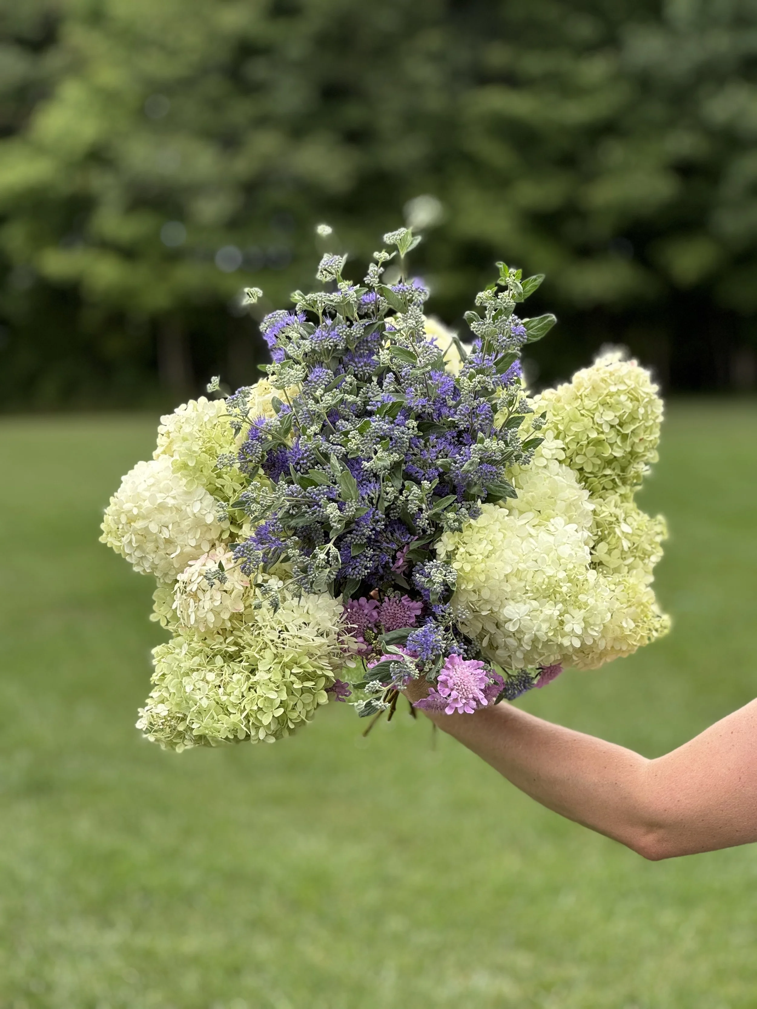 A person holding a bouquet of white, purple, and pink flowers with green leaves outdoors on a grassy area.