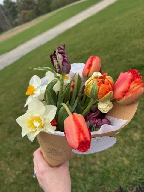 2026 3 Week Spring Subscription