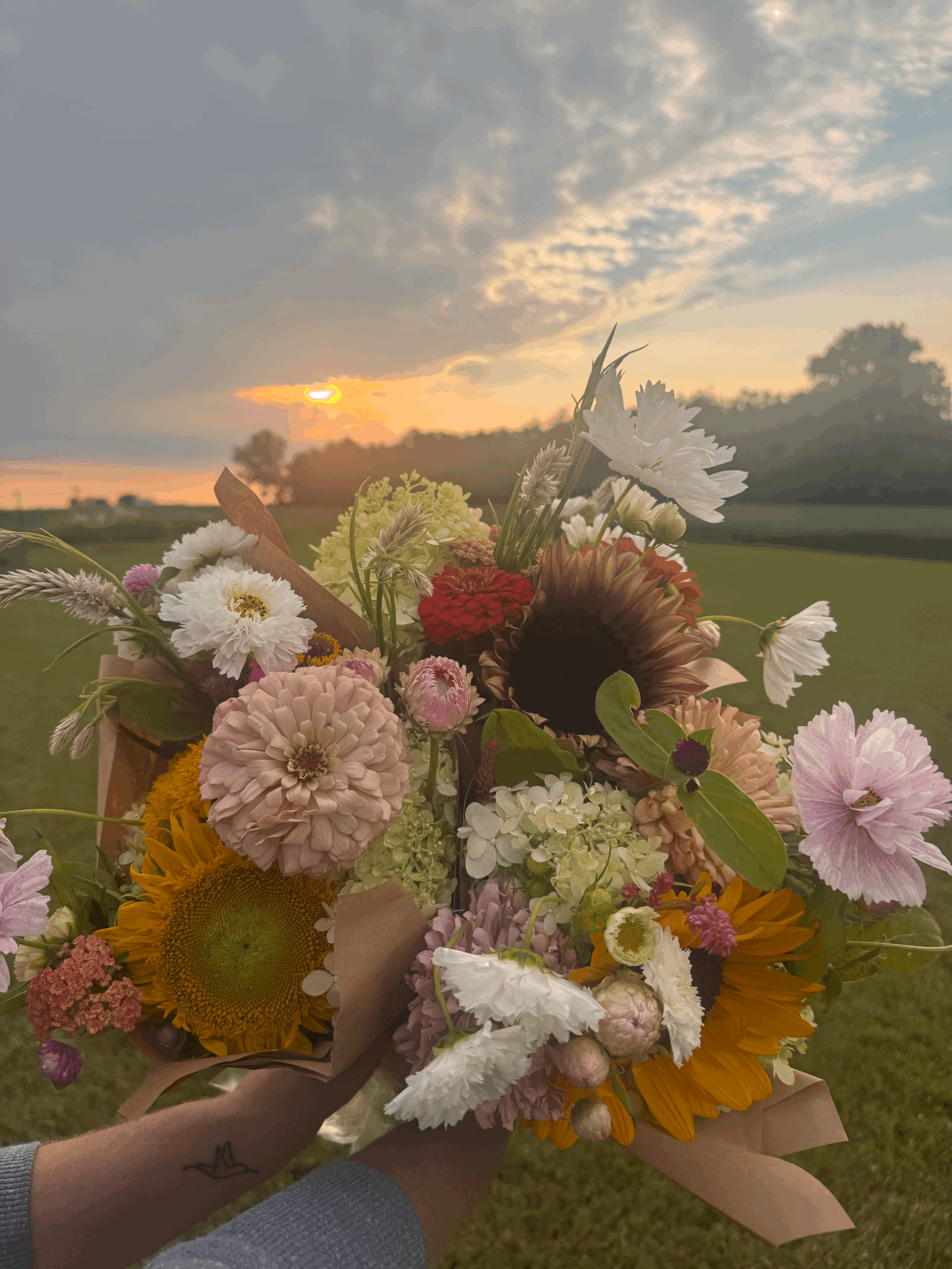 Colorful bouquet of mixed flowers including daisies, hydrangeas, and other blooms held outdoors with a grassy background.