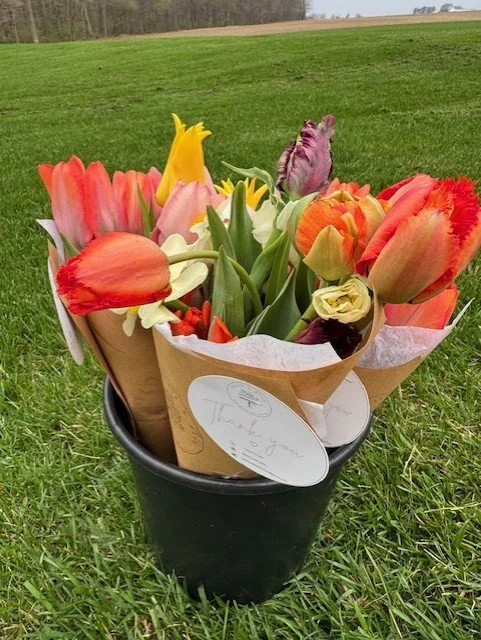 flowers 2.jpg