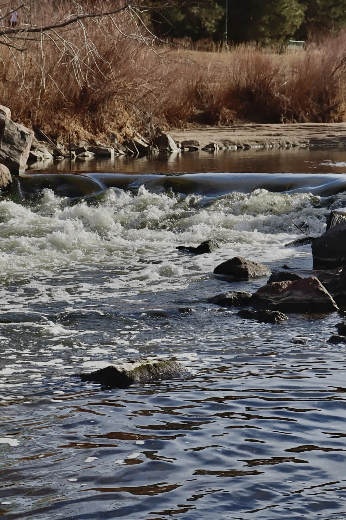 Denver - Park 1.JPEG