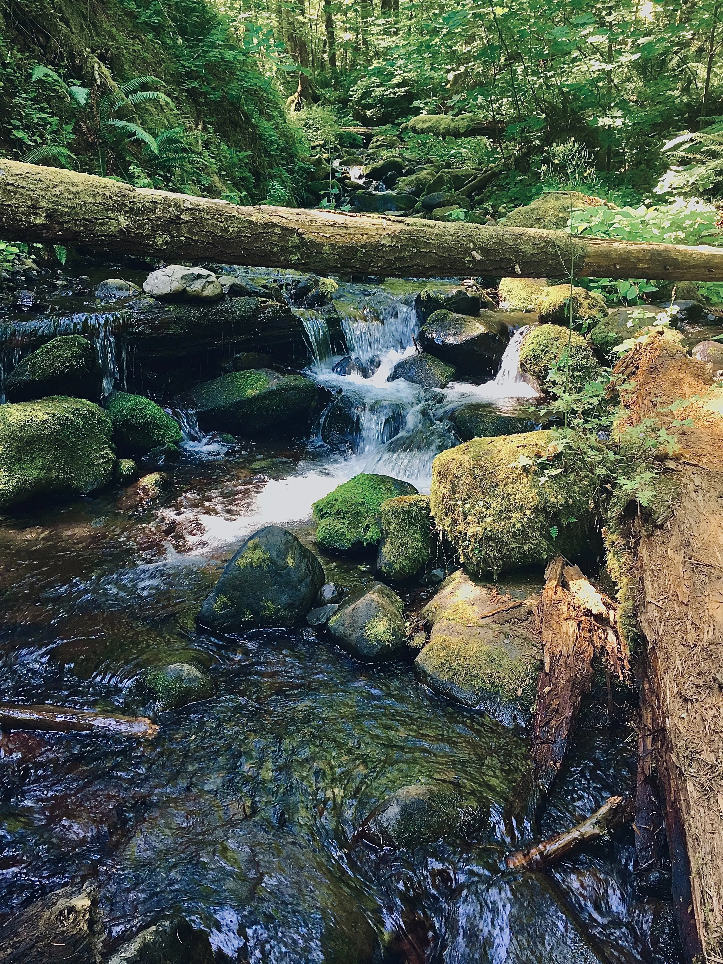 OR - Hike Water.JPEG