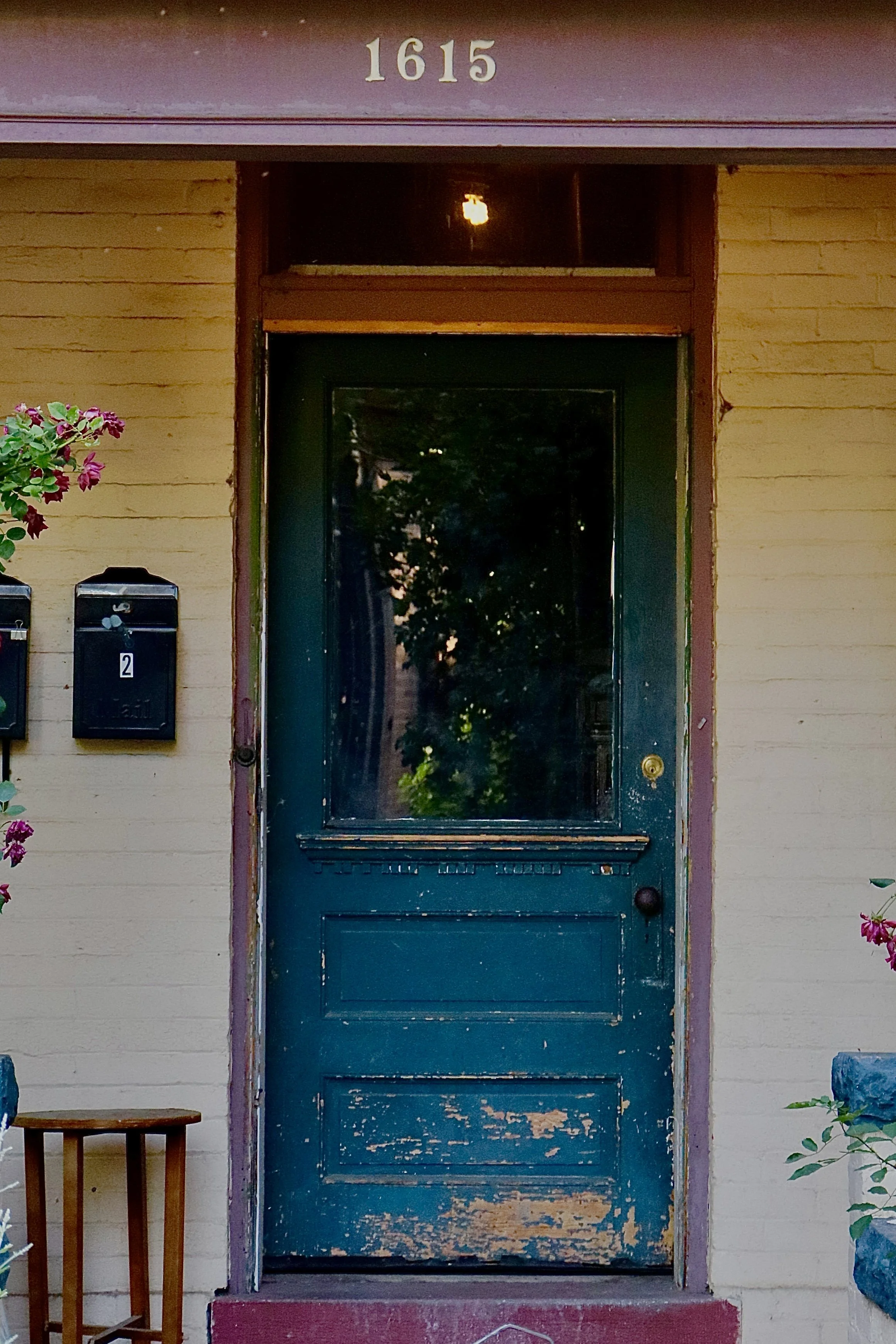 IMG_2888 - Copy.JPEG