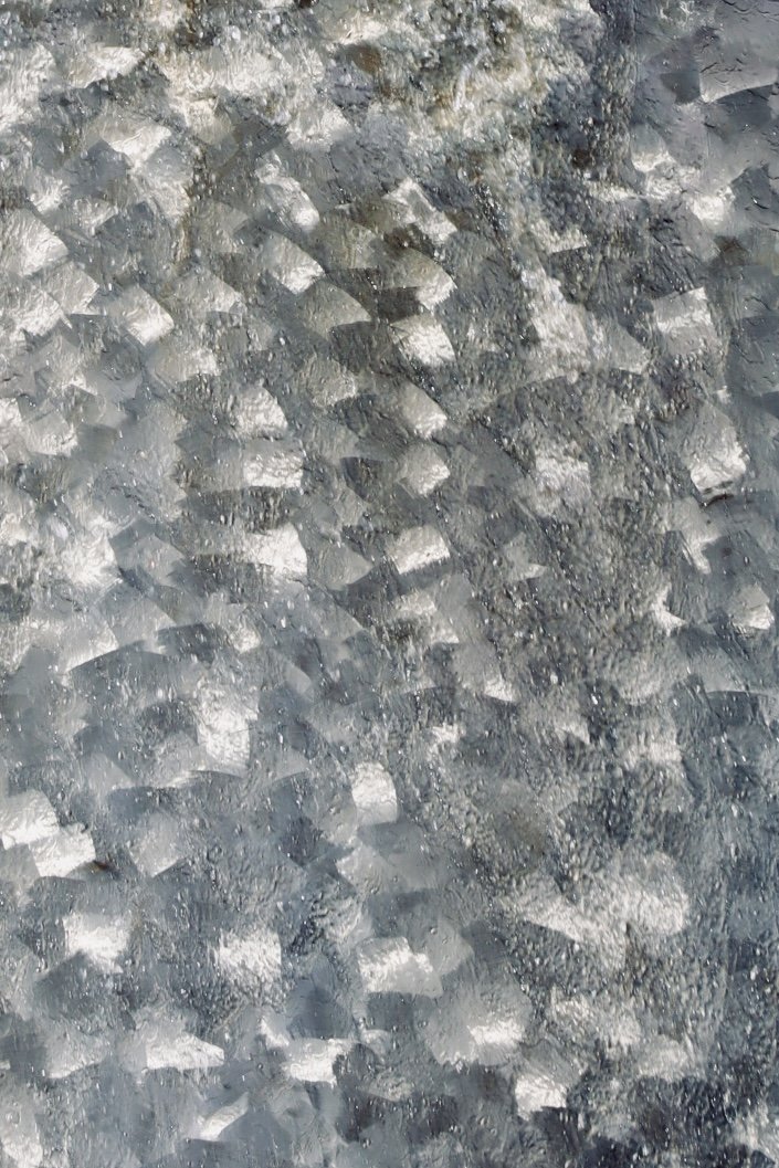 Seattle - Center - 1.JPEG