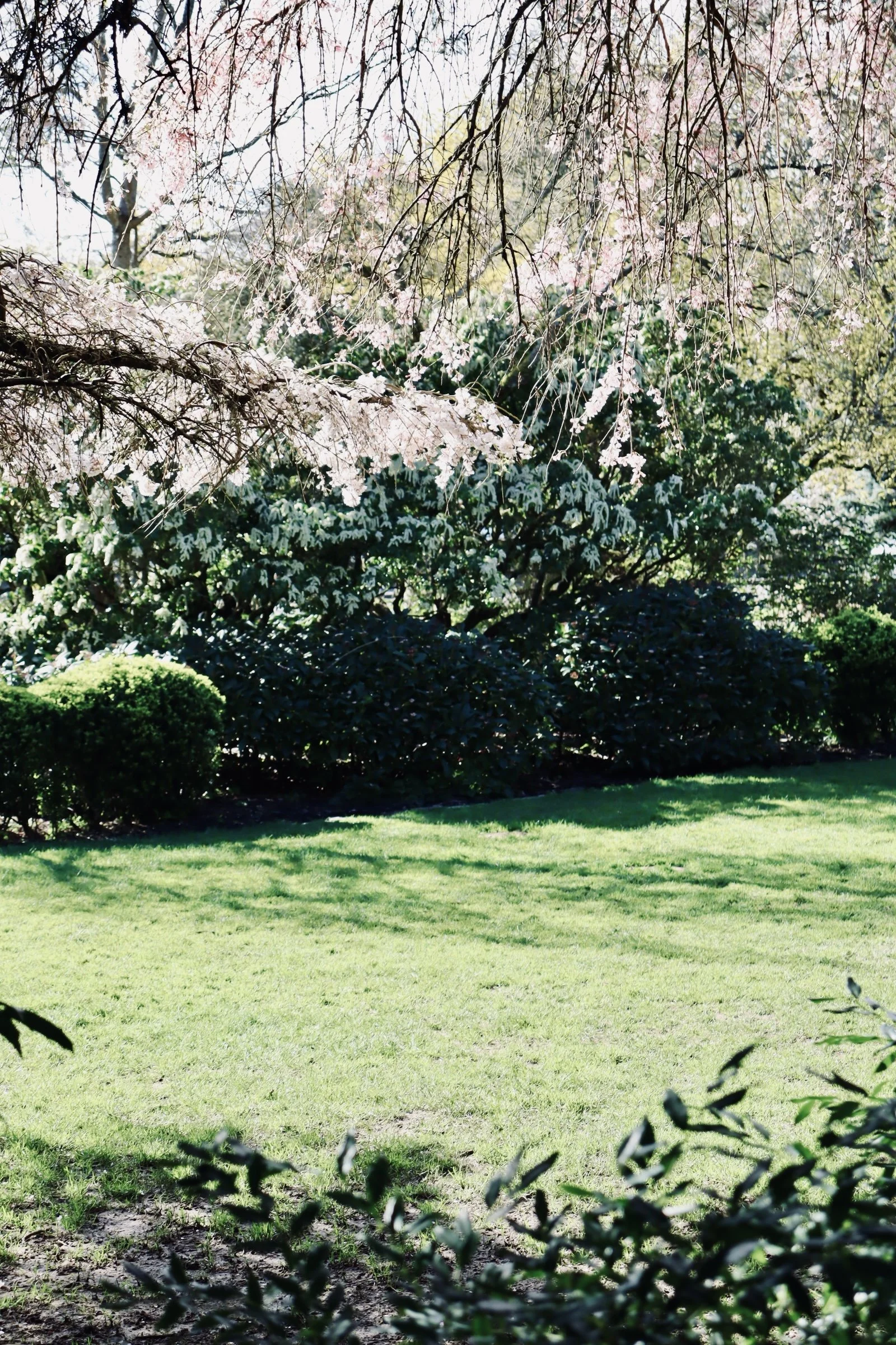 Seattle - Park 1.JPEG