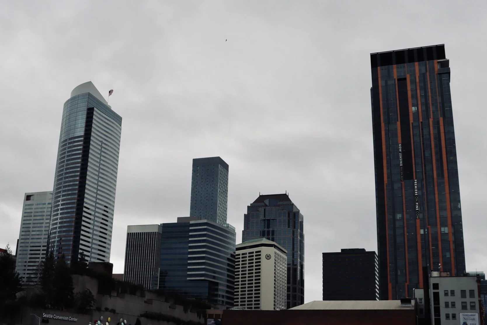 Seattle - Skyline 1.JPEG
