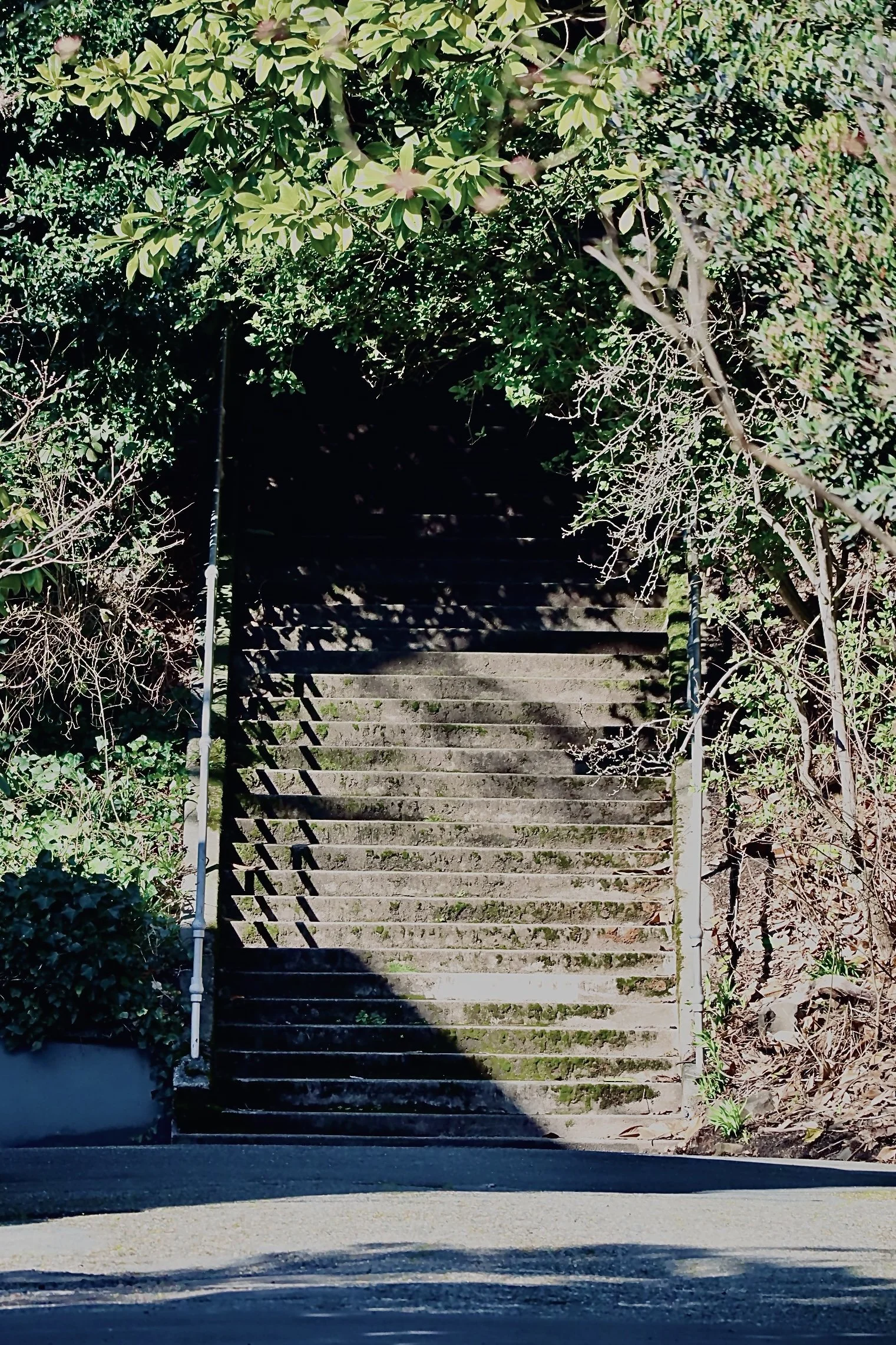 Seattle - Stairs 1.JPEG