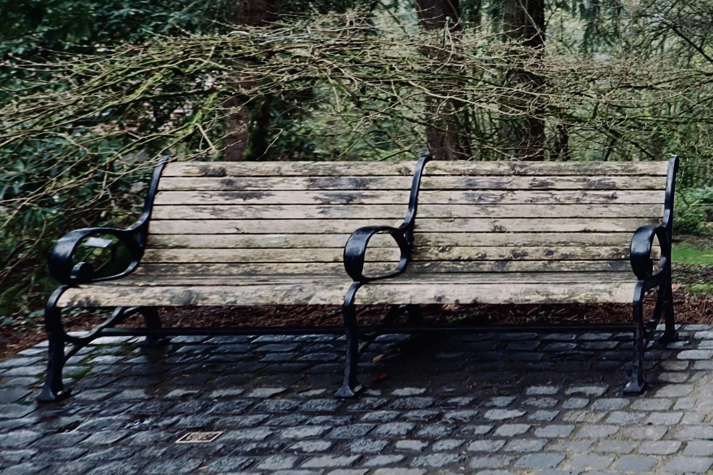 Portland - Bench.JPEG