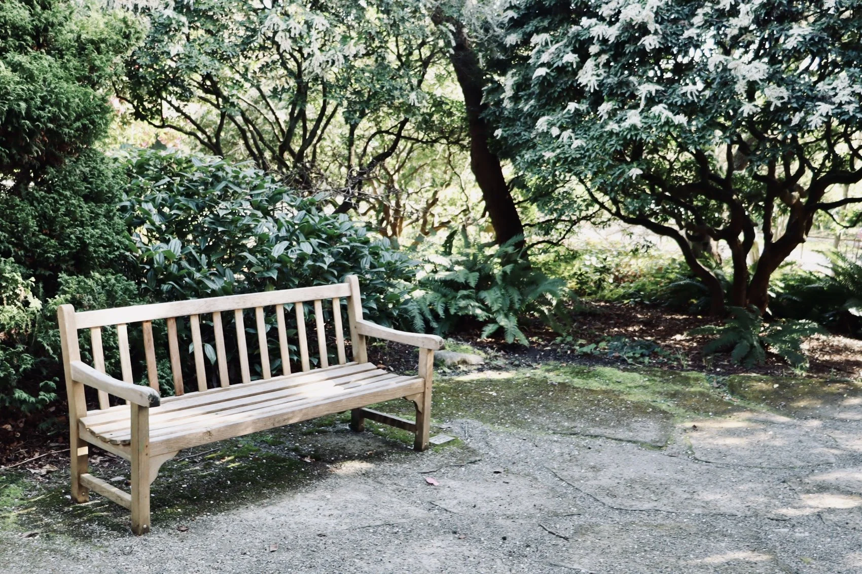 Seattle - Park 2.JPEG