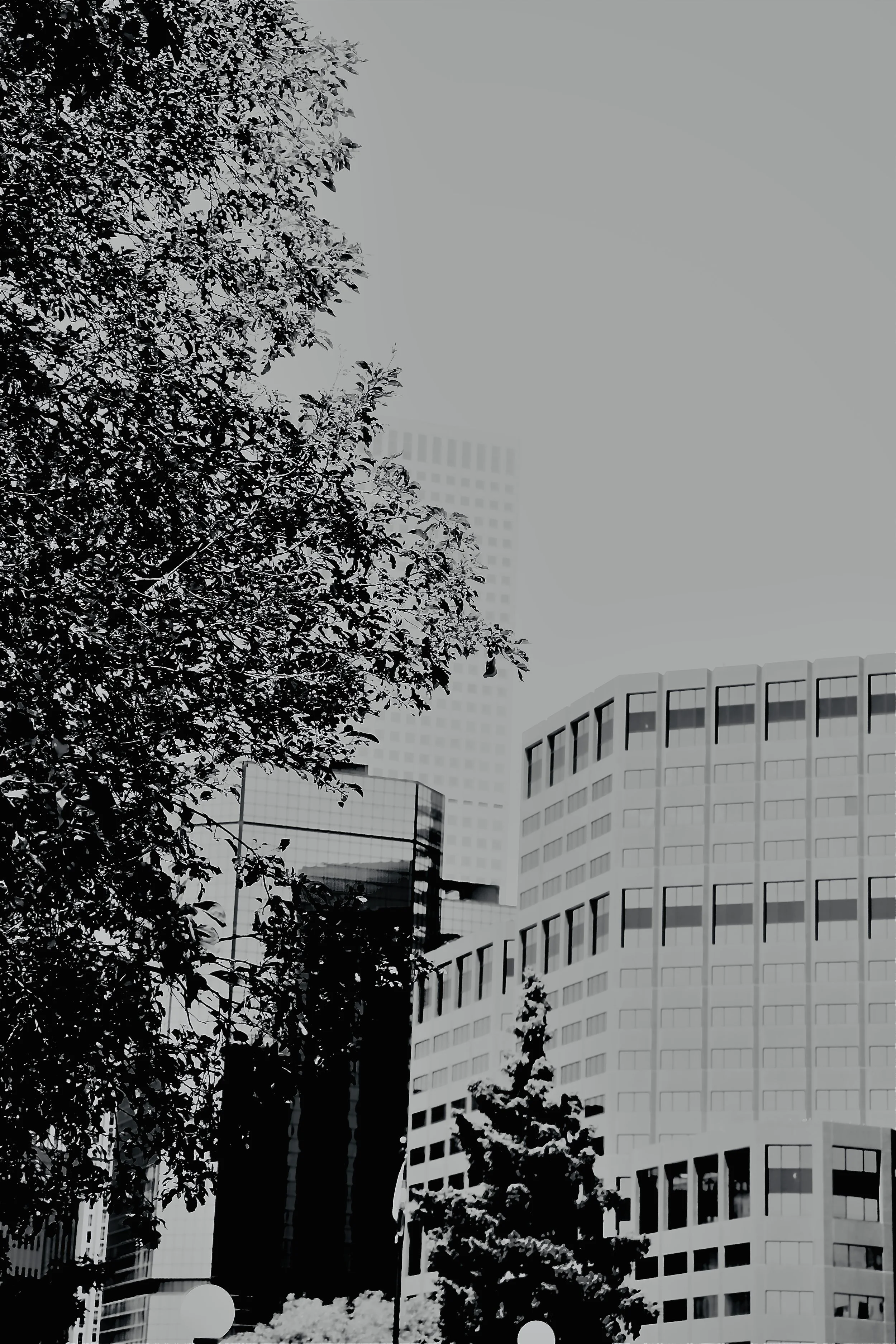 Denver - Buildings B&W 1.JPEG