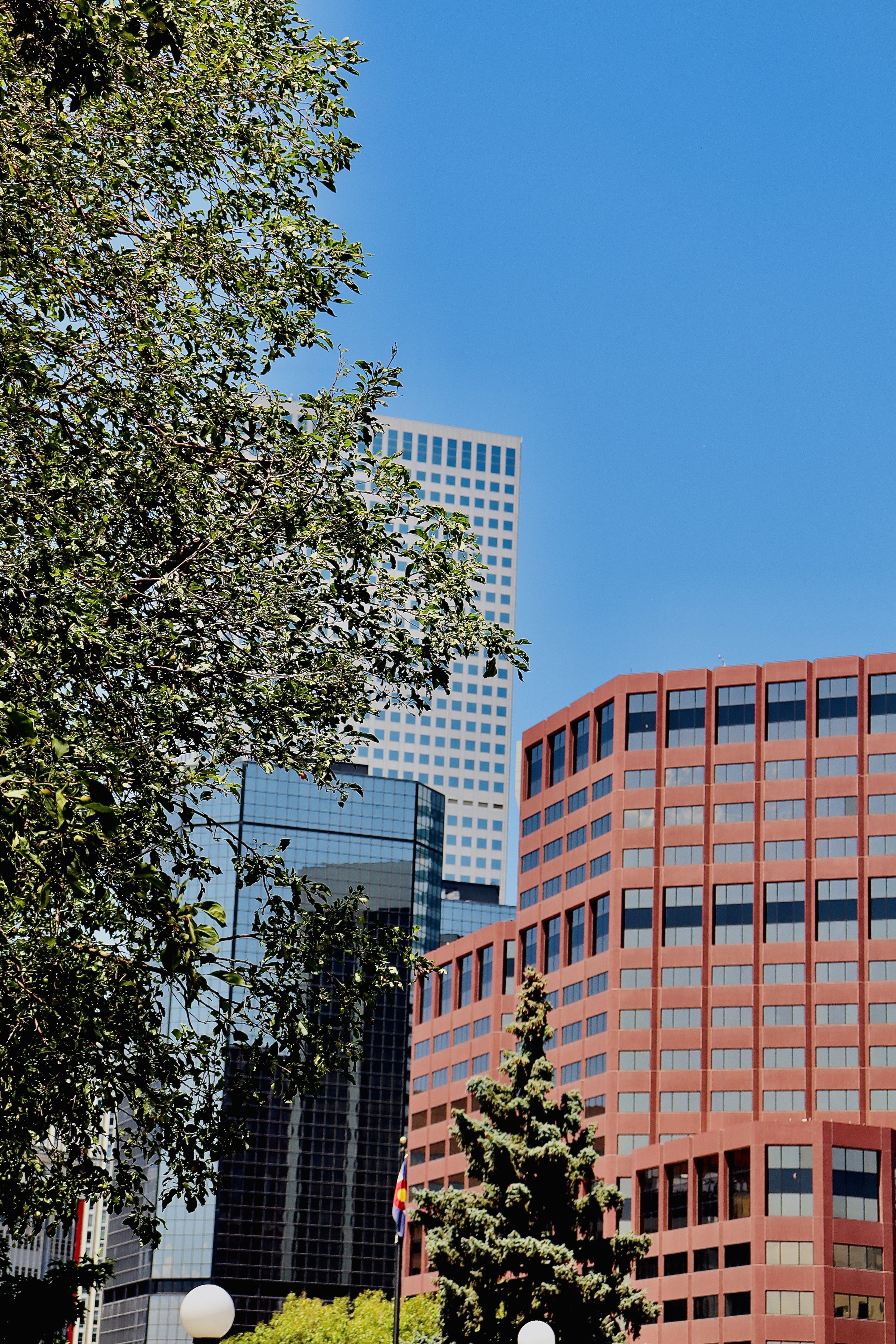 Denver - Buildings Color 1.JPEG