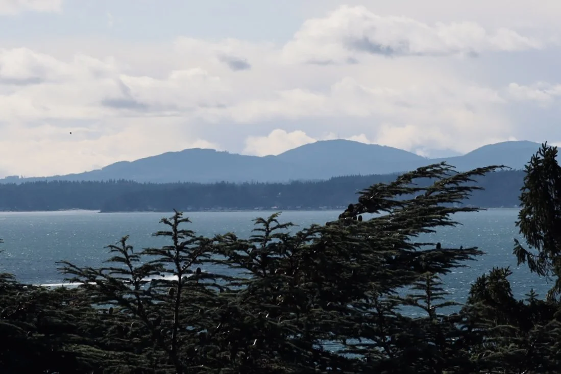 Seattle - Sound 3.JPEG