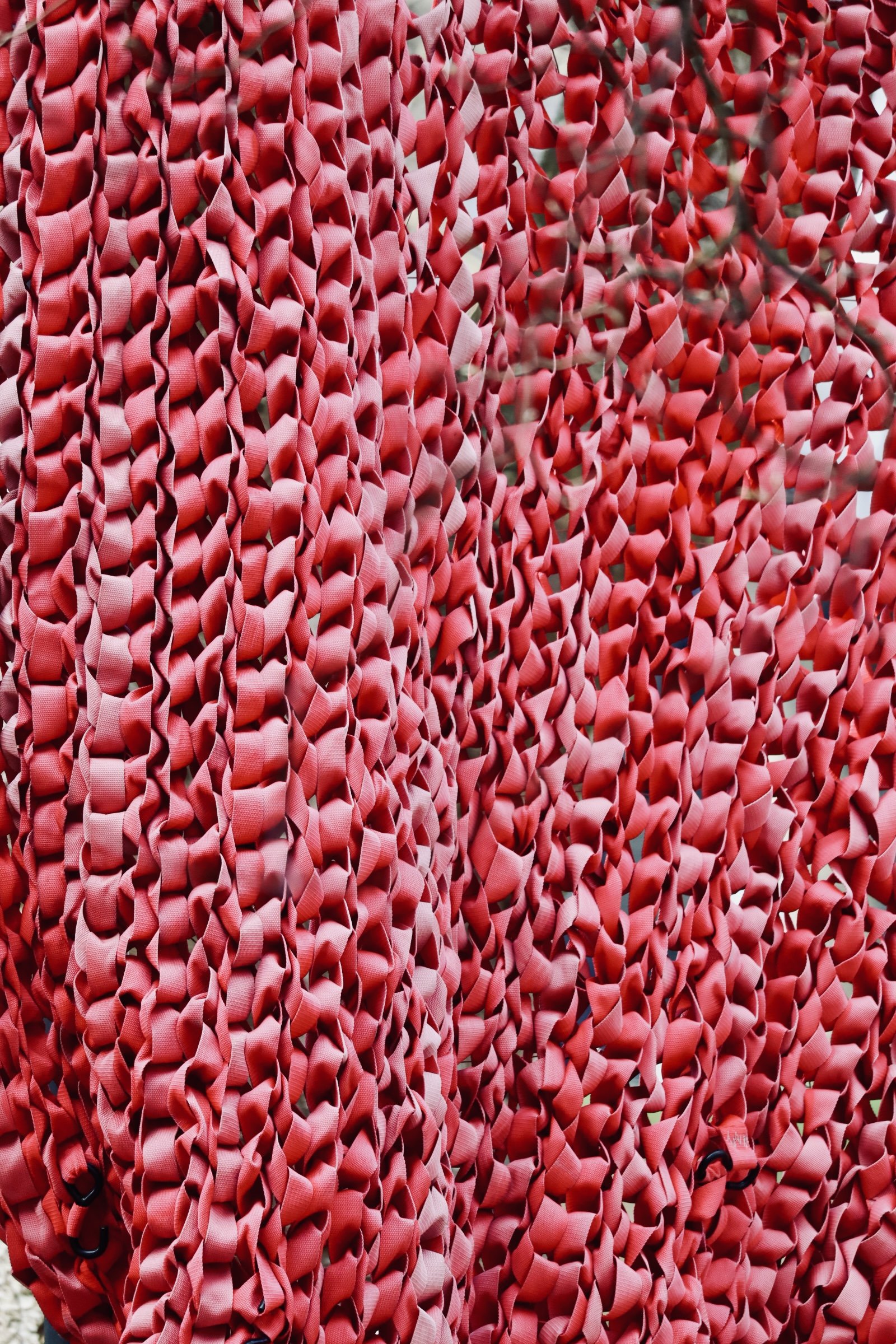 Seattle - Center - Net 1.JPEG