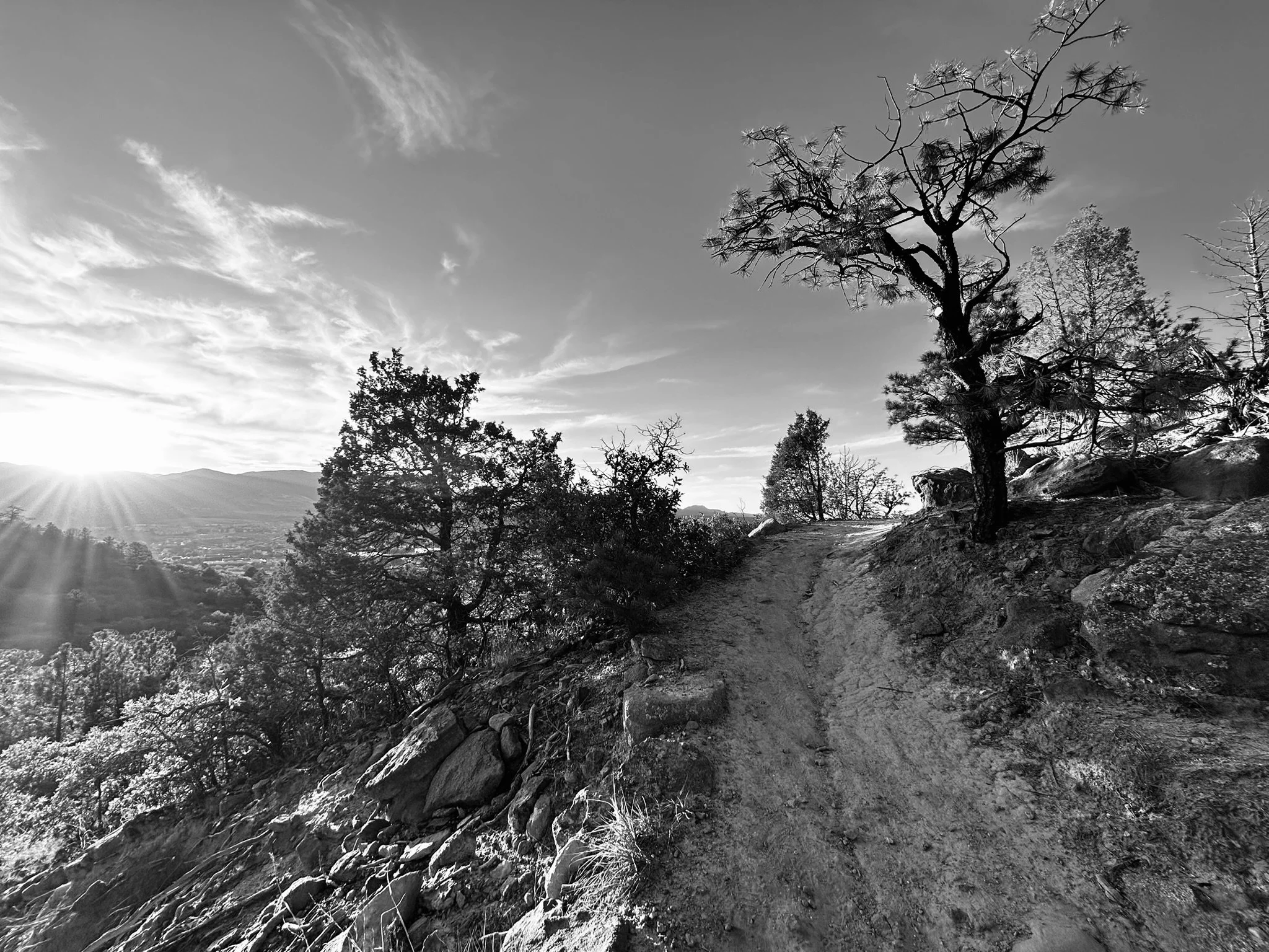 COS - Pulpit Rock - Path 2.JPEG