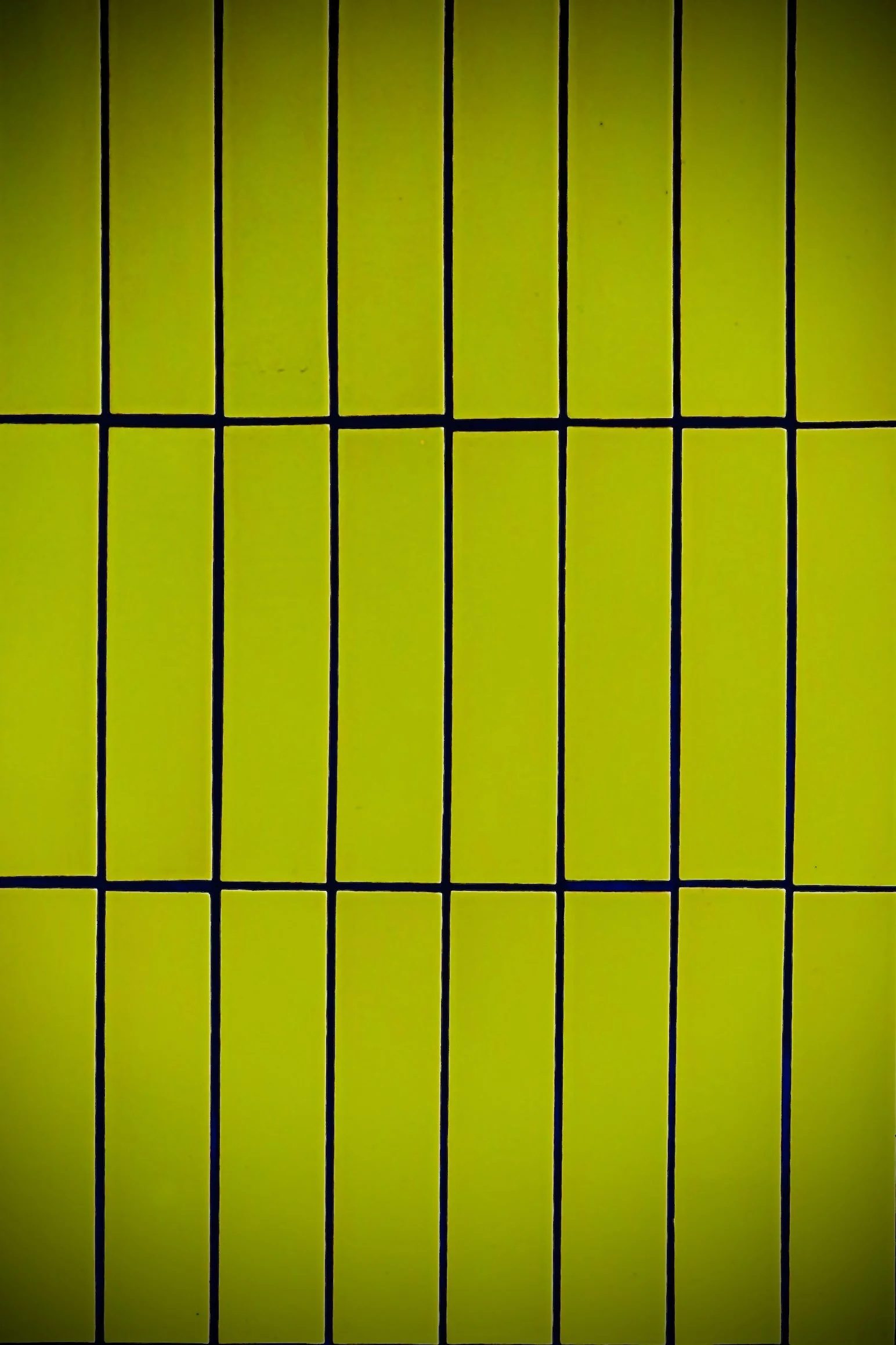 Denver - Conference - Wall 3.JPEG