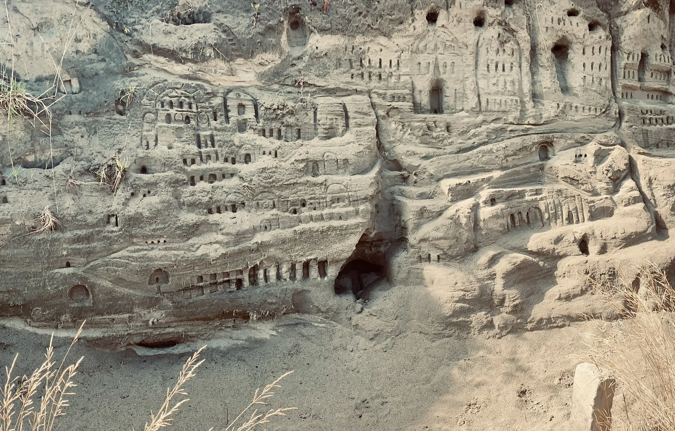 OR - Bird Nests.JPEG