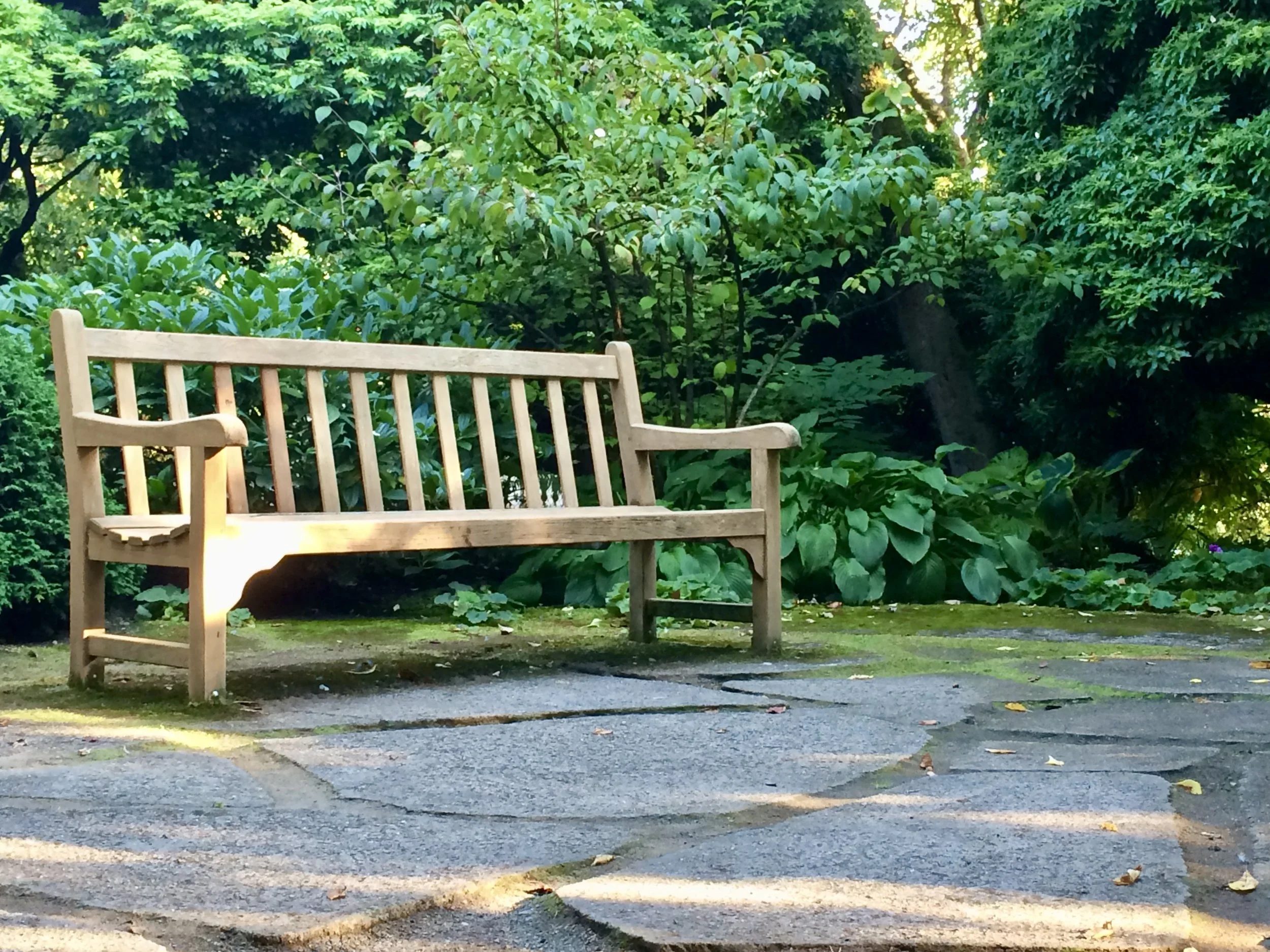 Seattle - Bench.JPEG